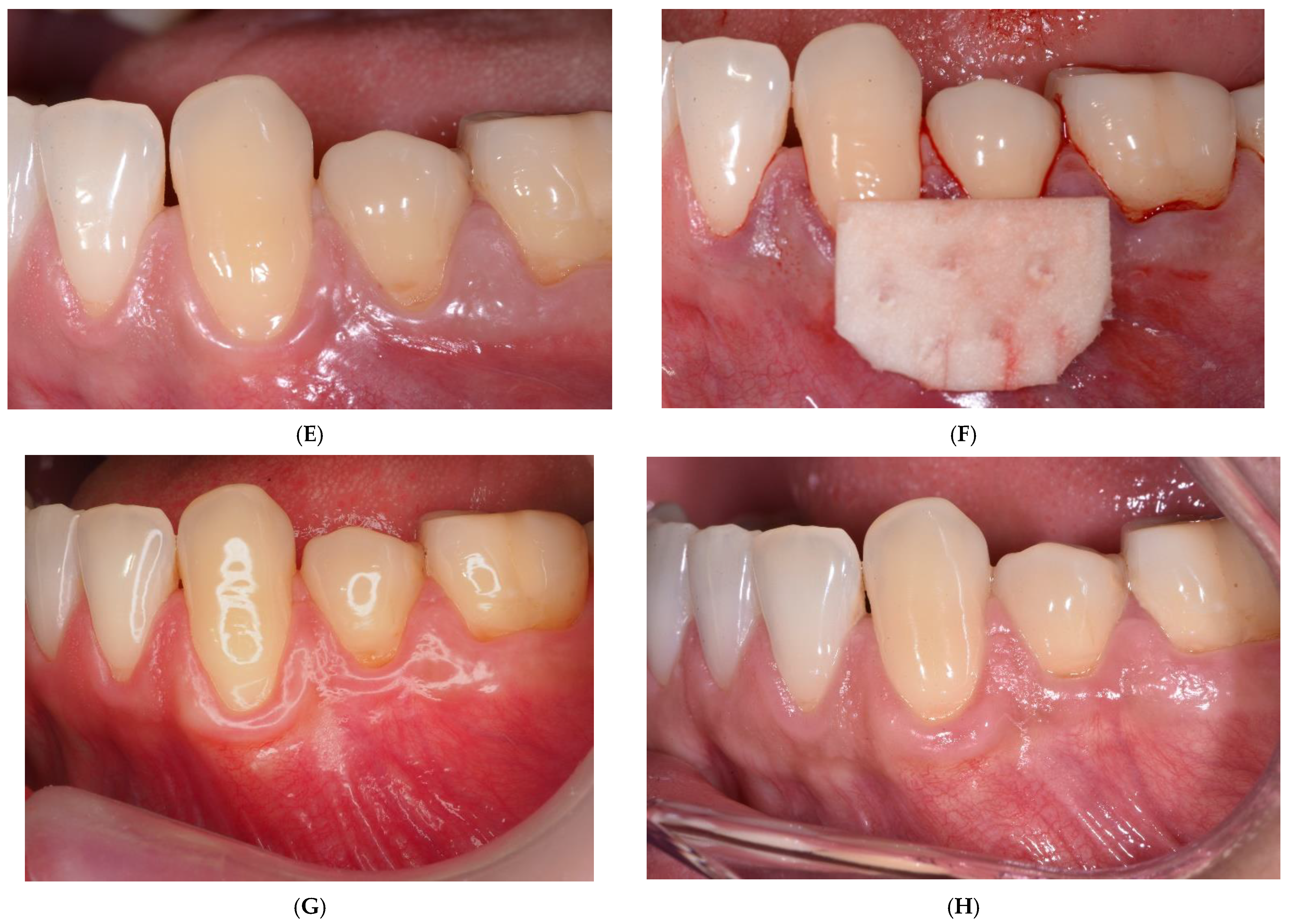 Ijerph 19 16444 g001b