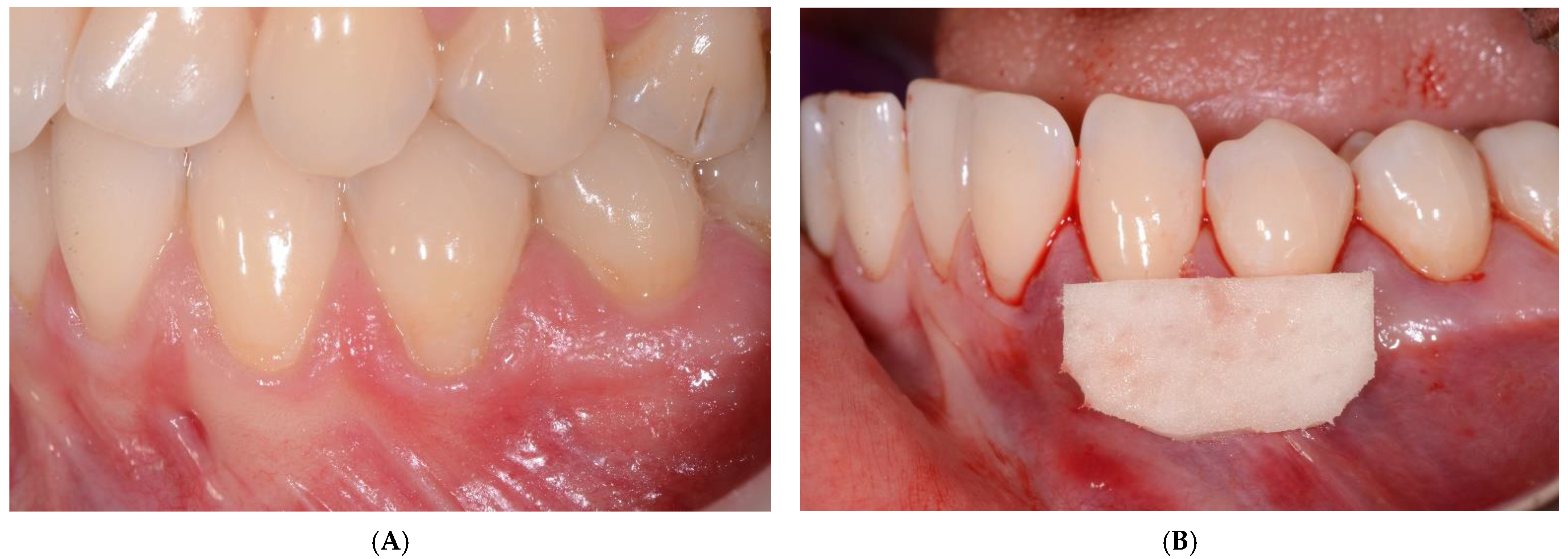 Ijerph 19 16444 g002a