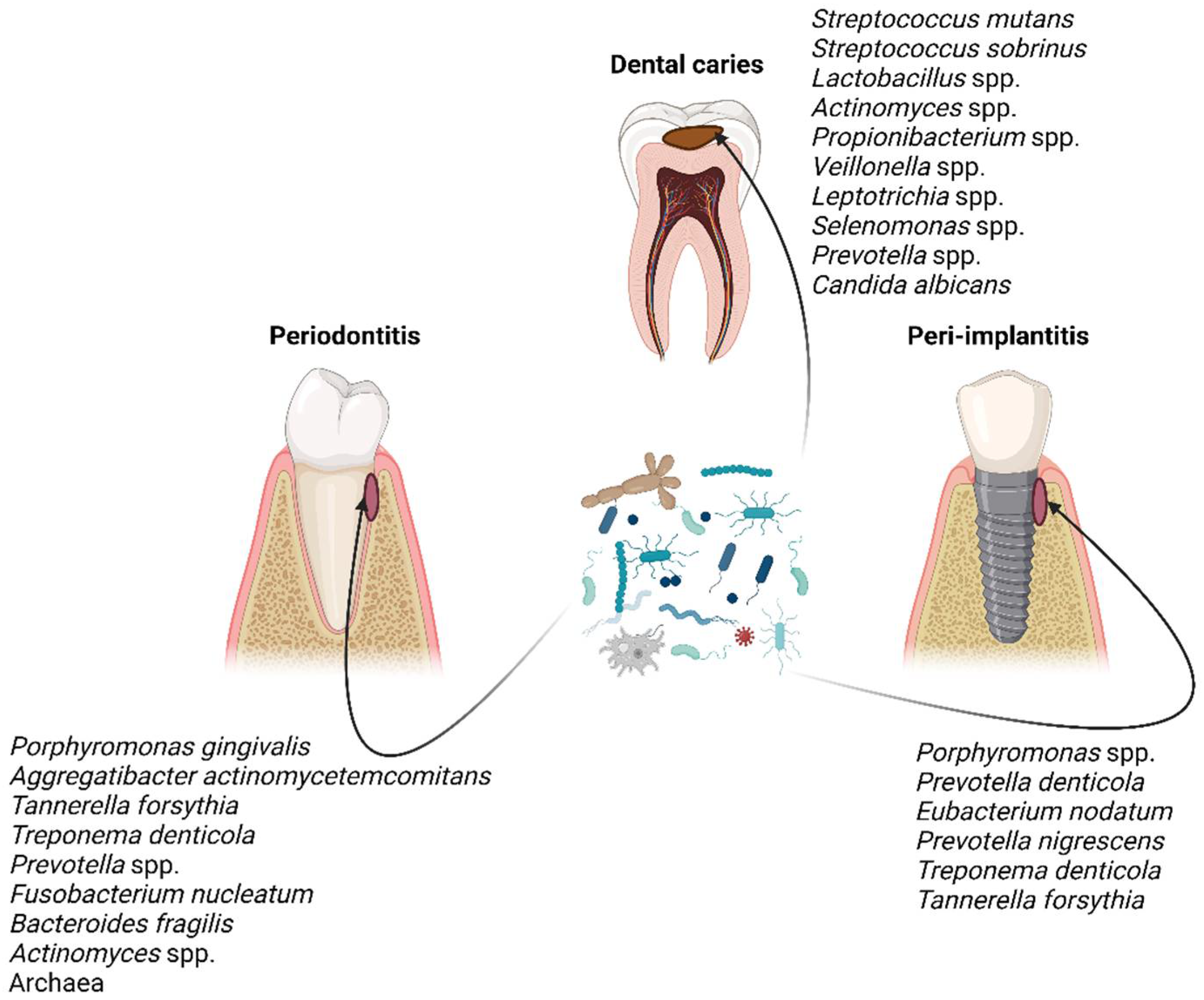 Ijerph 19 16448 g001