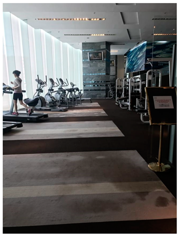 Ijerph 19 16558 i004 Ijerph 19 16558 i004