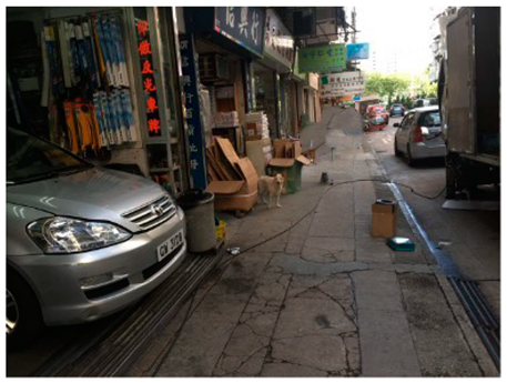 Ijerph 19 16558 i009 Ijerph 19 16558 i009