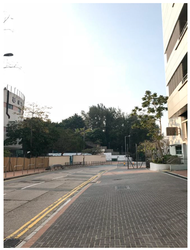 Ijerph 19 16558 i011 Ijerph 19 16558 i011