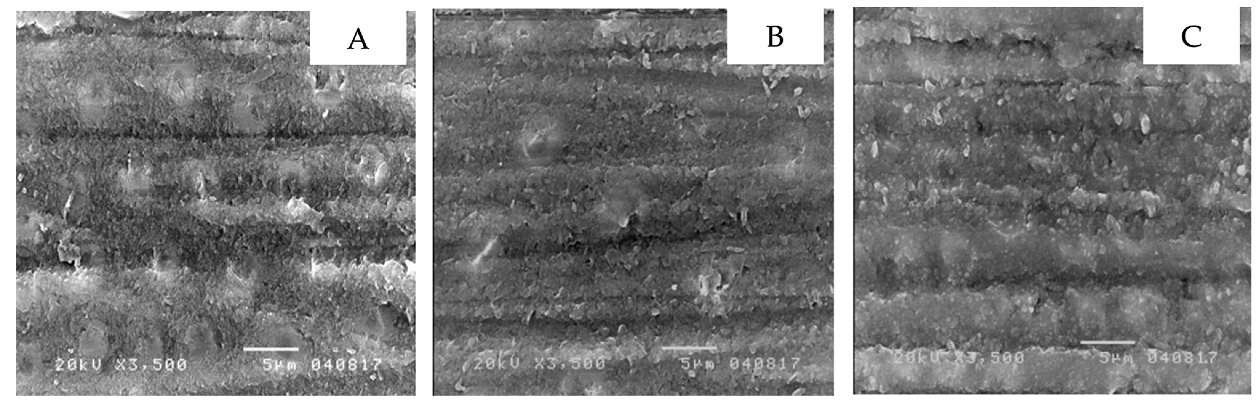 Ijerph 19 16567 g002 Ijerph 19 16567 g002