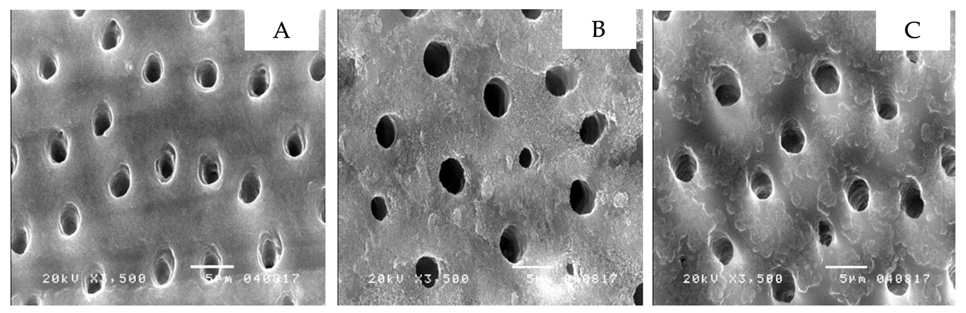 Ijerph 19 16567 g003 Ijerph 19 16567 g003