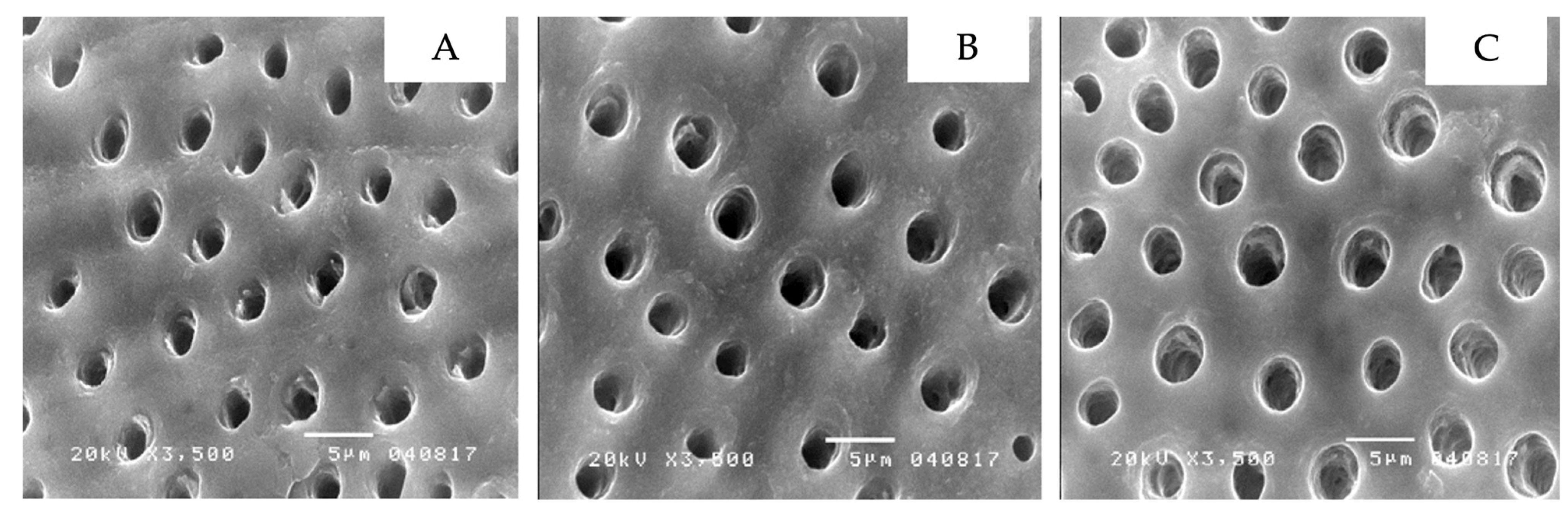 Ijerph 19 16567 g004 Ijerph 19 16567 g004