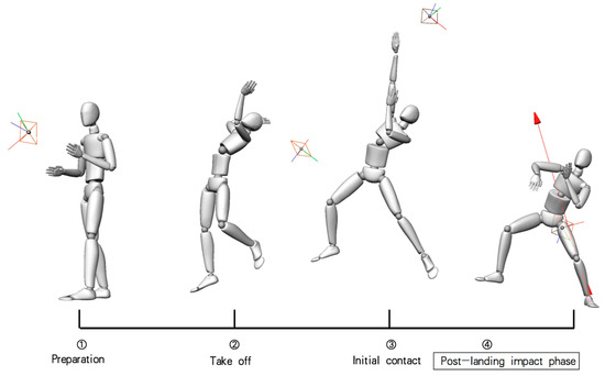 IJERPH | Free Full-Text | Correlation of Lower Limb Muscle Activity with Knee Joint Kinematics and Kinetics during Badminton Landing Tasks IJERPH | Free Full-Text | Correlation of Lower Limb Muscle Activity with Knee Joint Kinematics and Kinetics during Badminton Landing Tasks