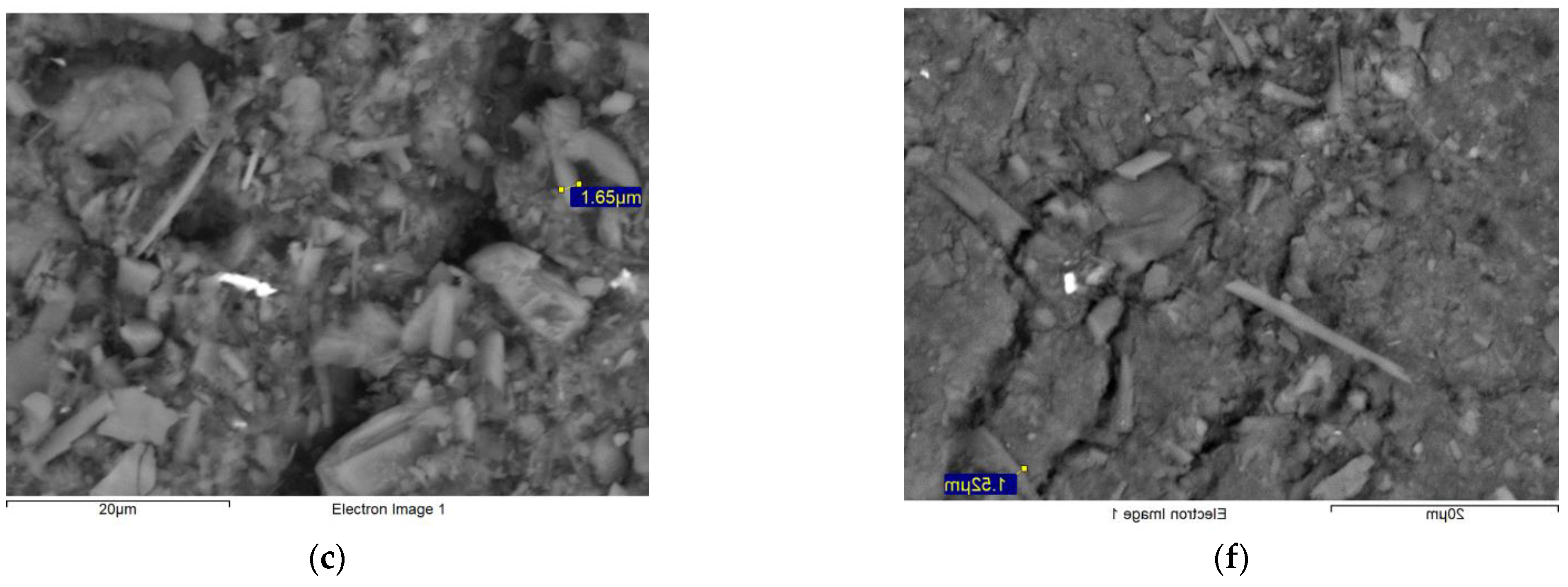 Ijerph 19 16649 g002b