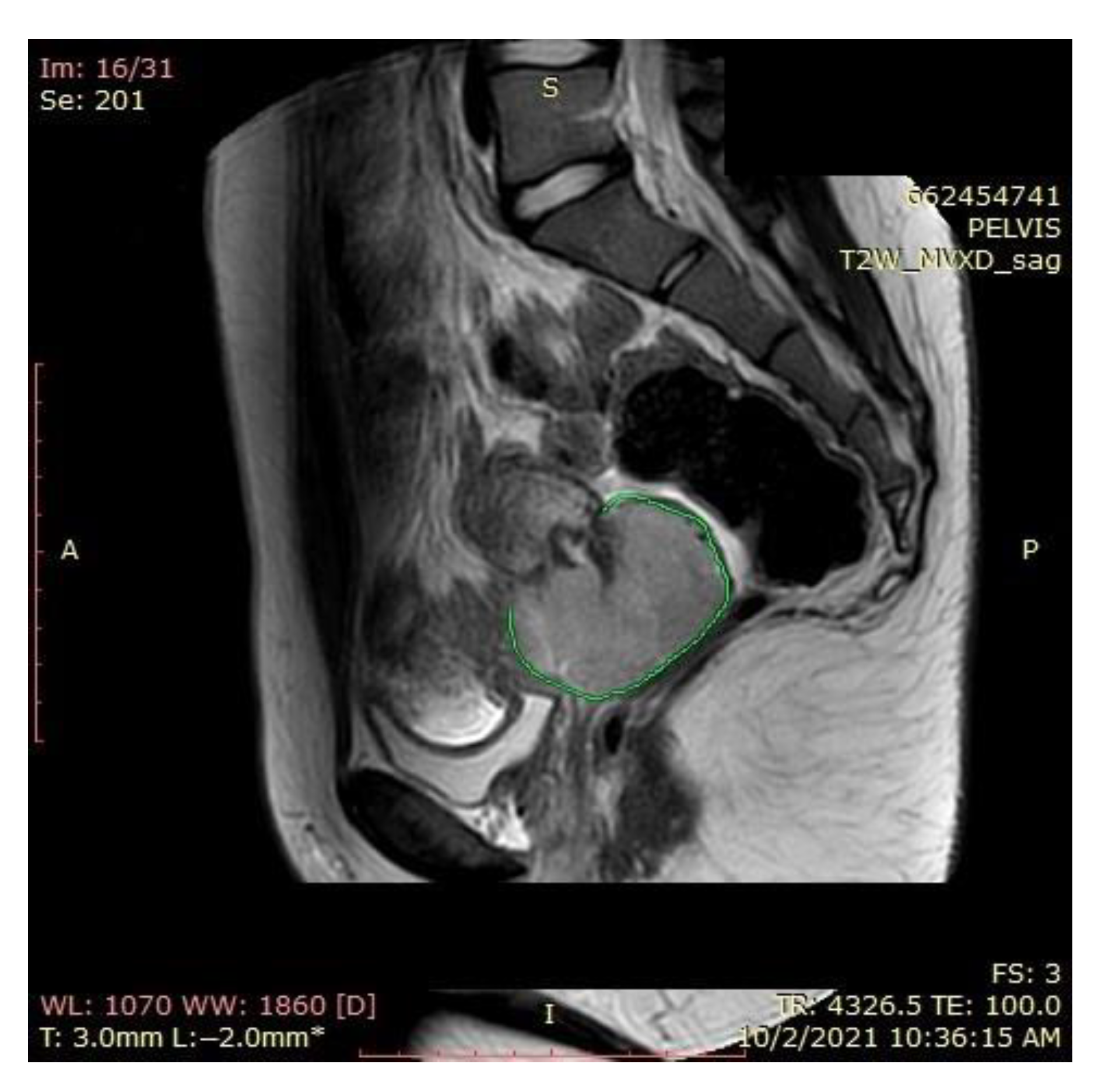 Ijerph 19 16652 g001 Ijerph 19 16652 g001