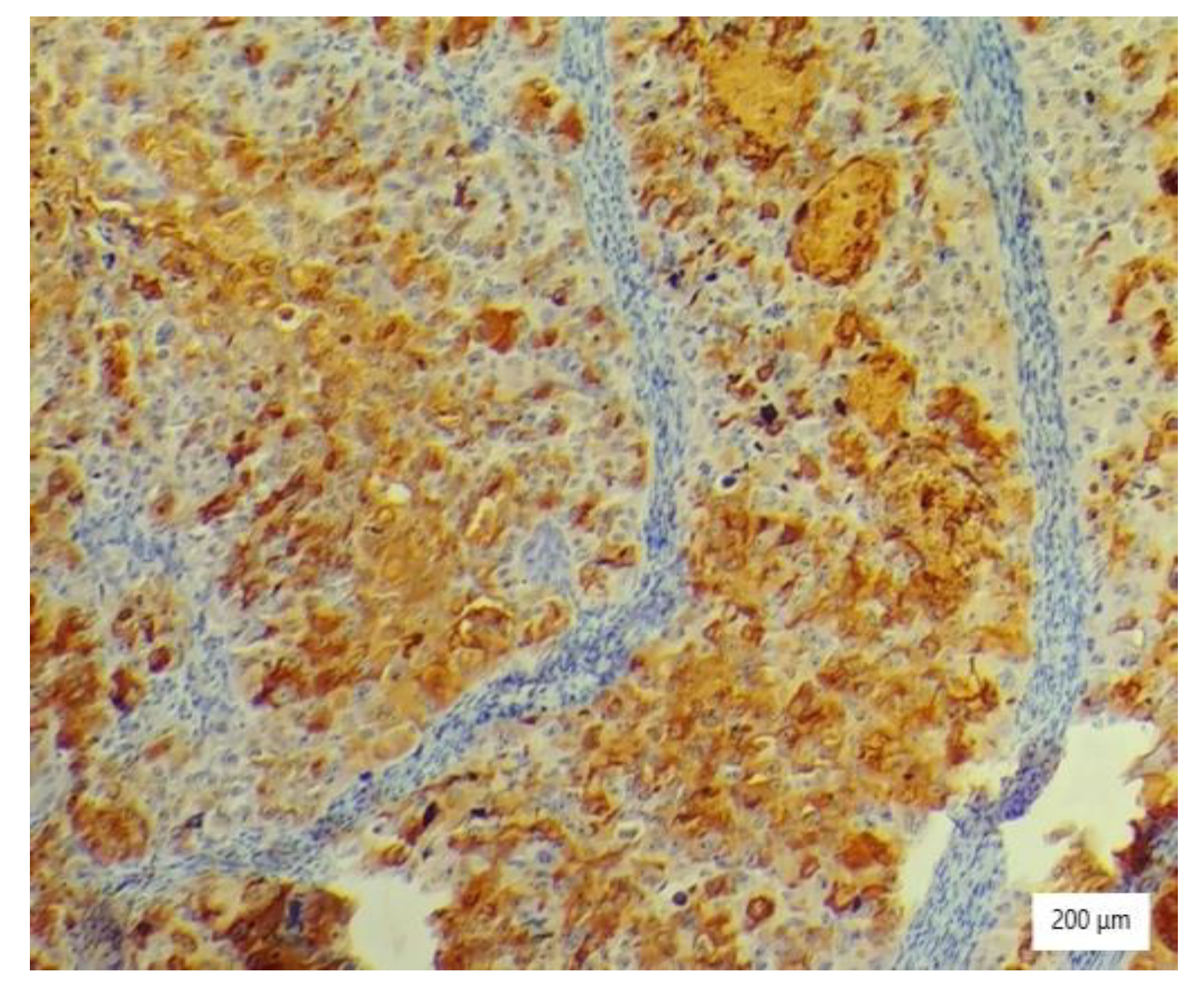 Ijerph 19 16652 g007 Ijerph 19 16652 g007