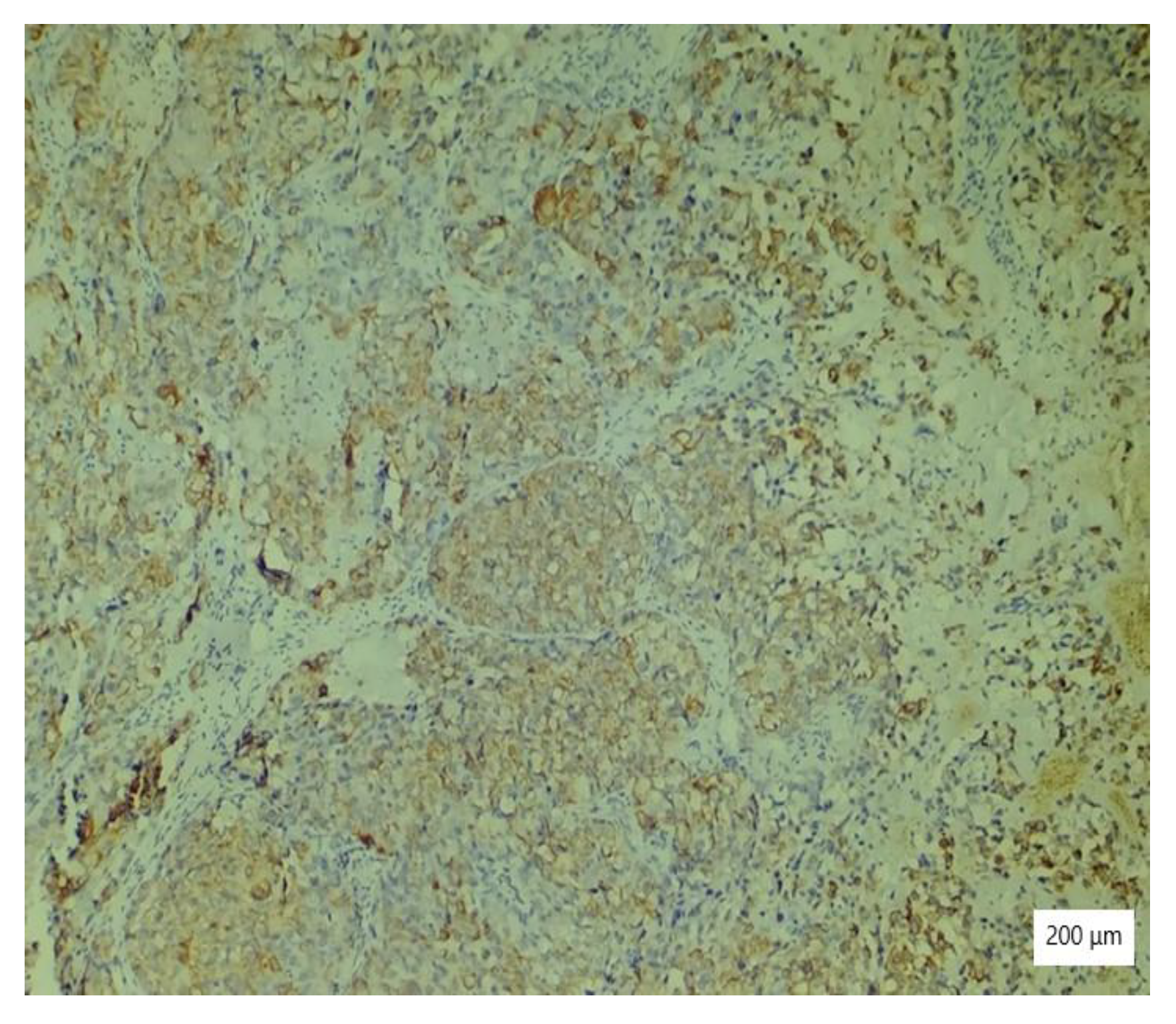 Ijerph 19 16652 g011 Ijerph 19 16652 g011