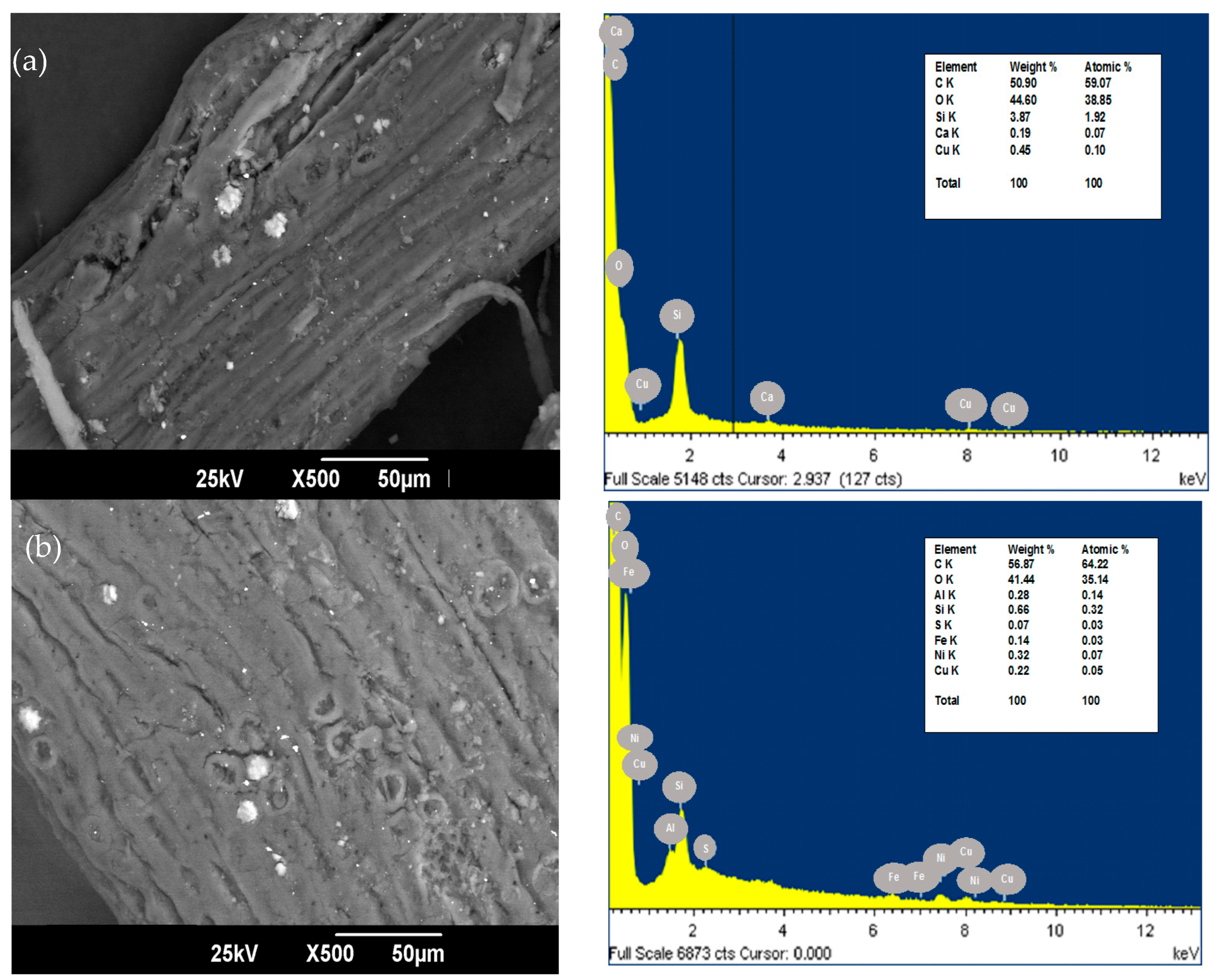Ijerph 19 16668 g001 Ijerph 19 16668 g001