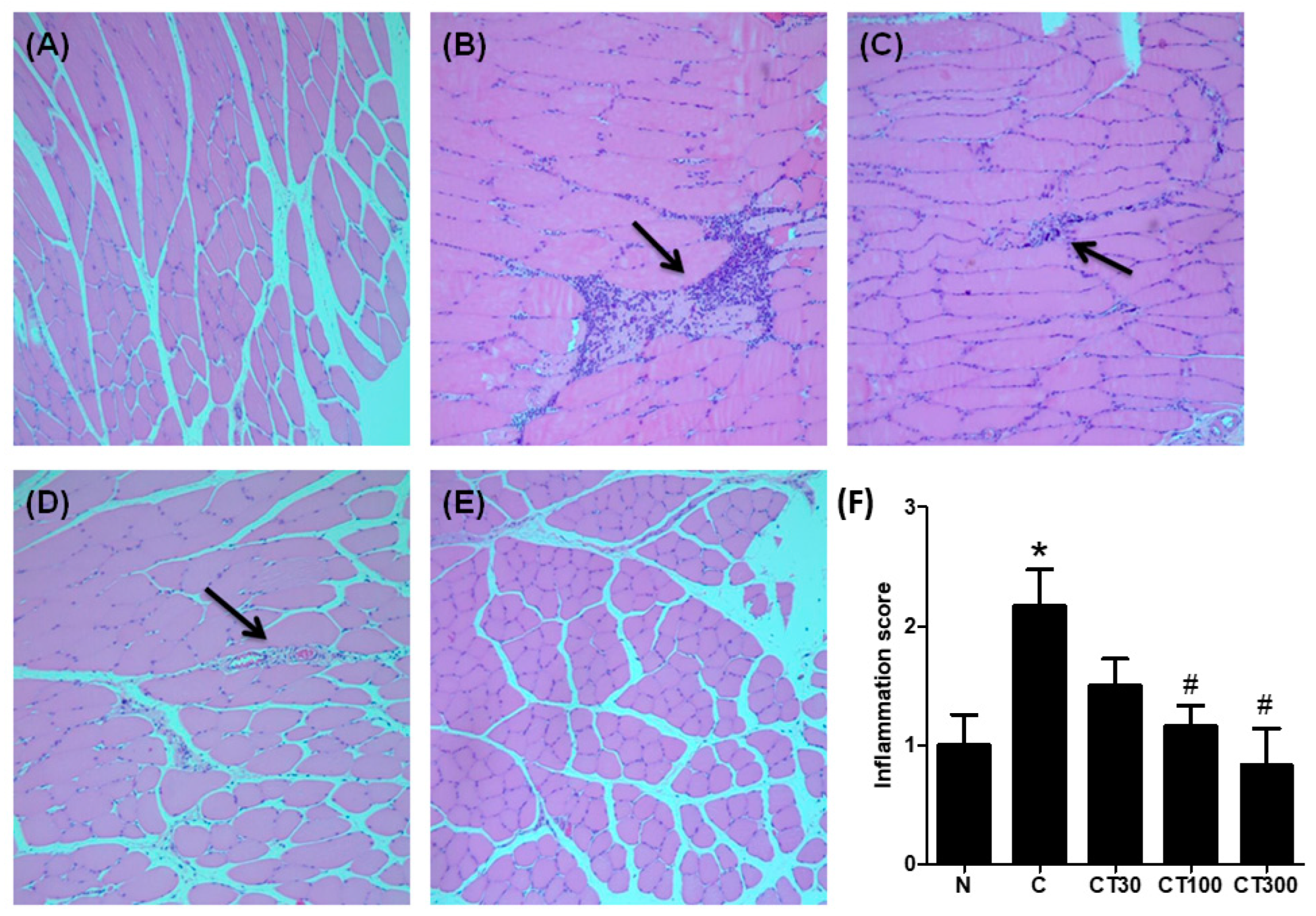 Ijerph 19 16685 g005 Ijerph 19 16685 g005