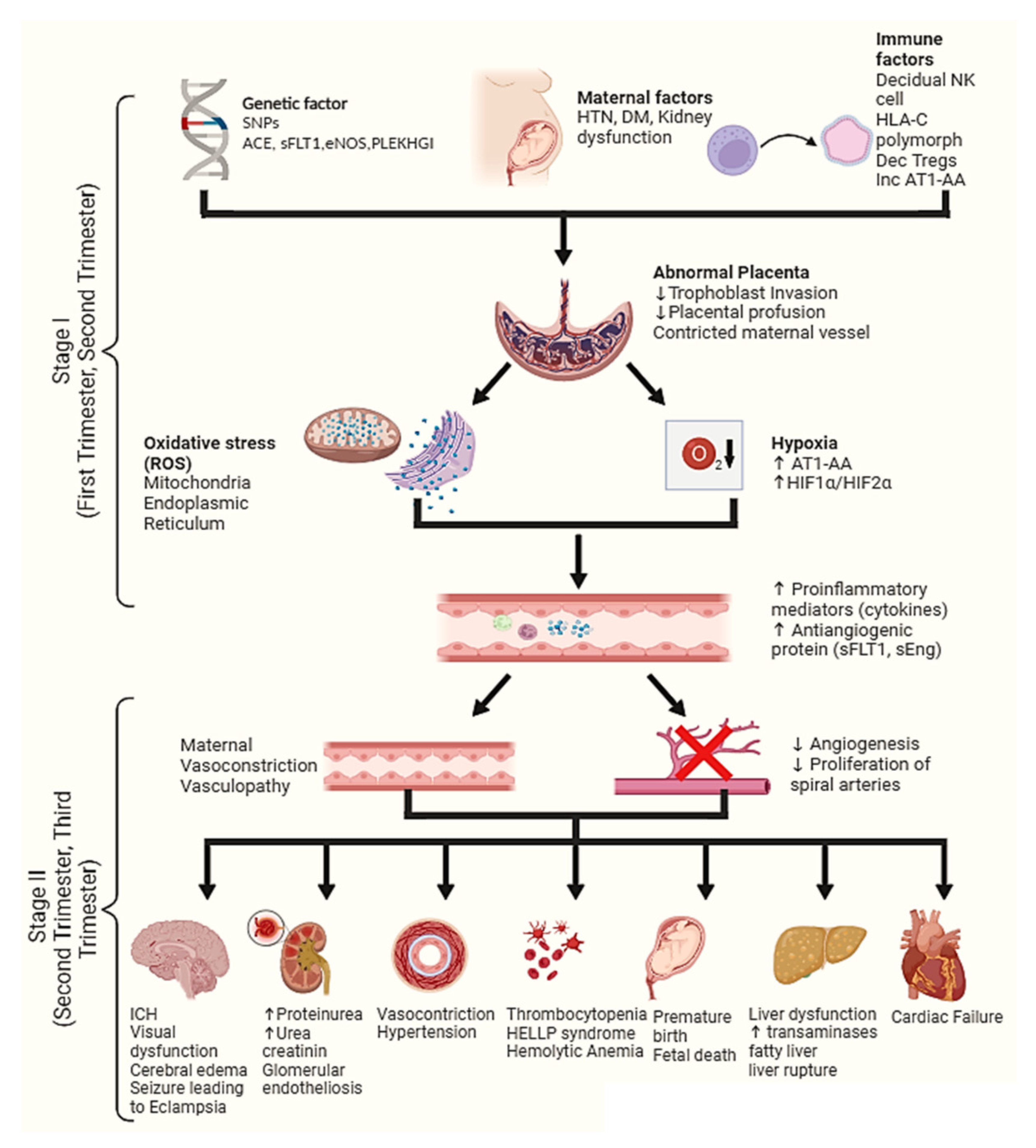 Ijerph 19 16690 g001 Ijerph 19 16690 g001
