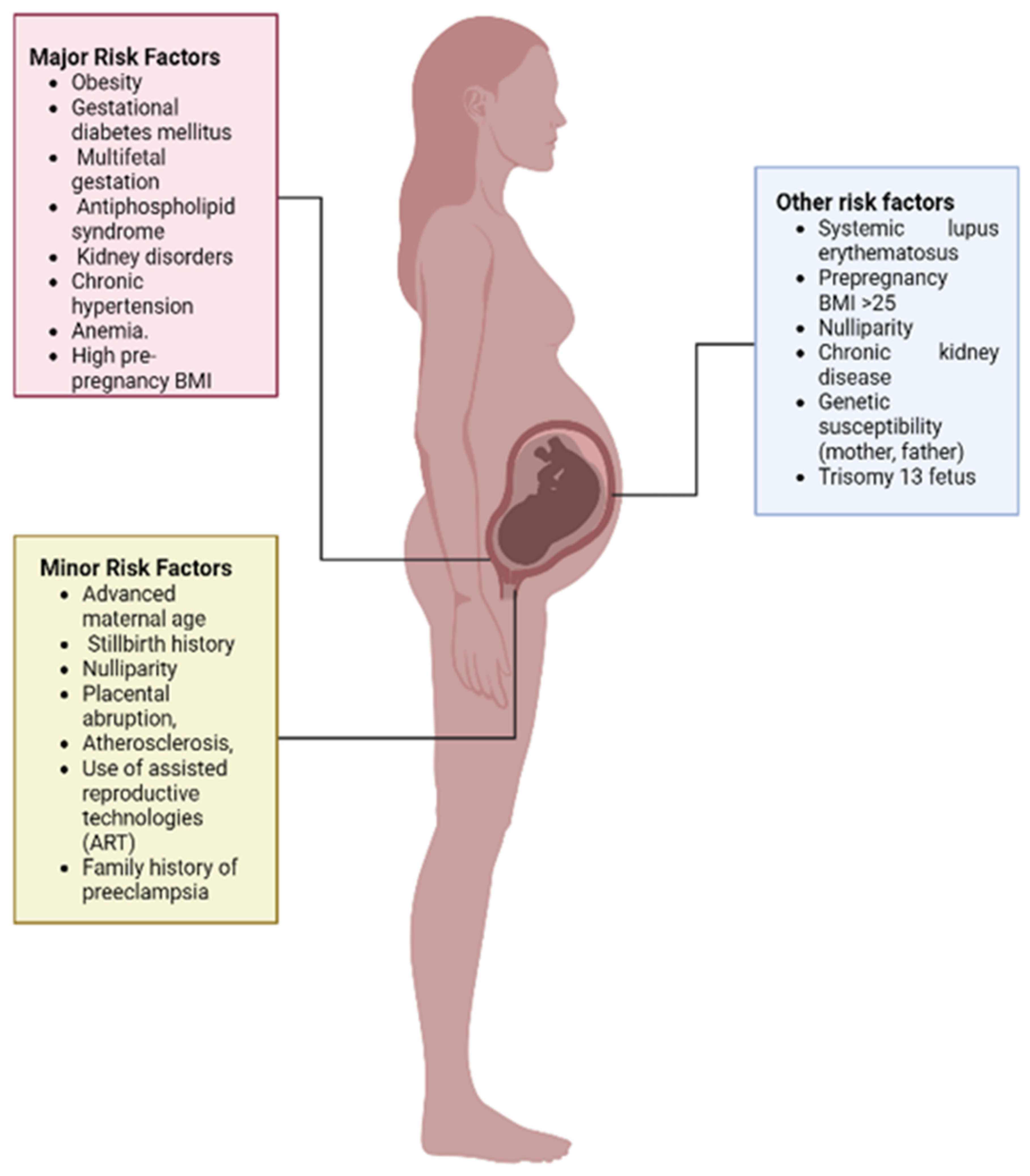 Ijerph 19 16690 g002 Ijerph 19 16690 g002