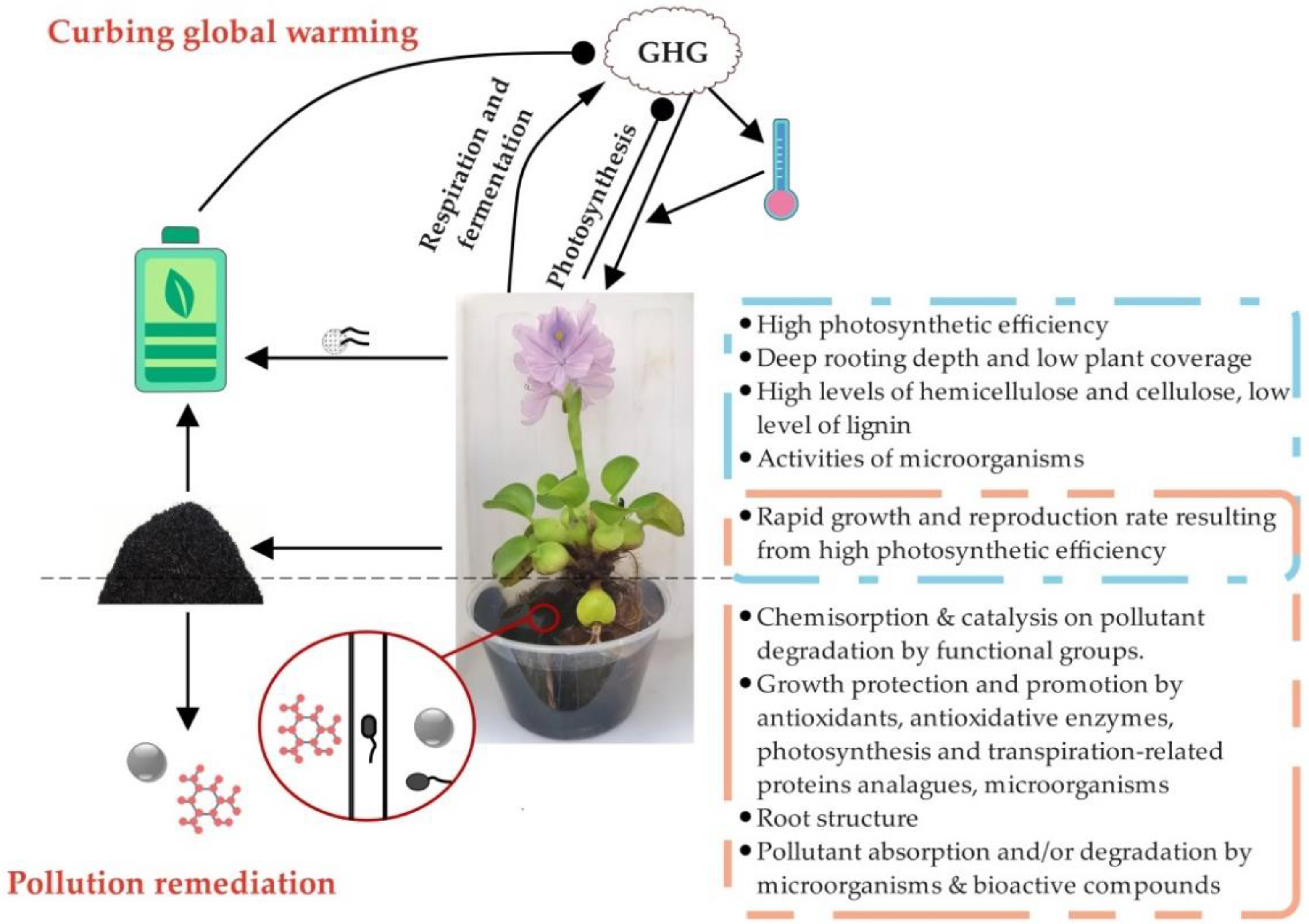 Ijerph 19 16725 g001