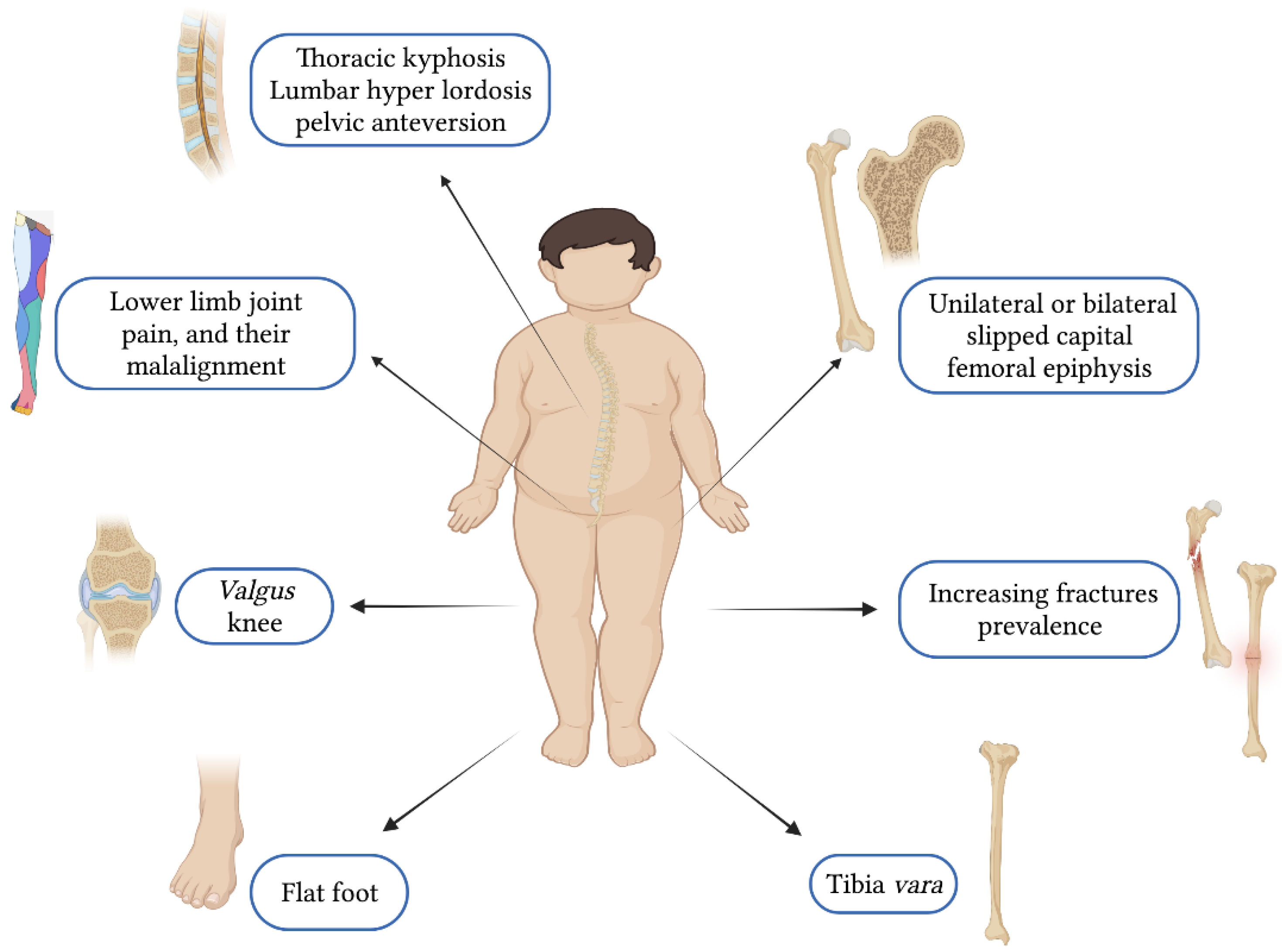 Ijerph 19 16728 g002