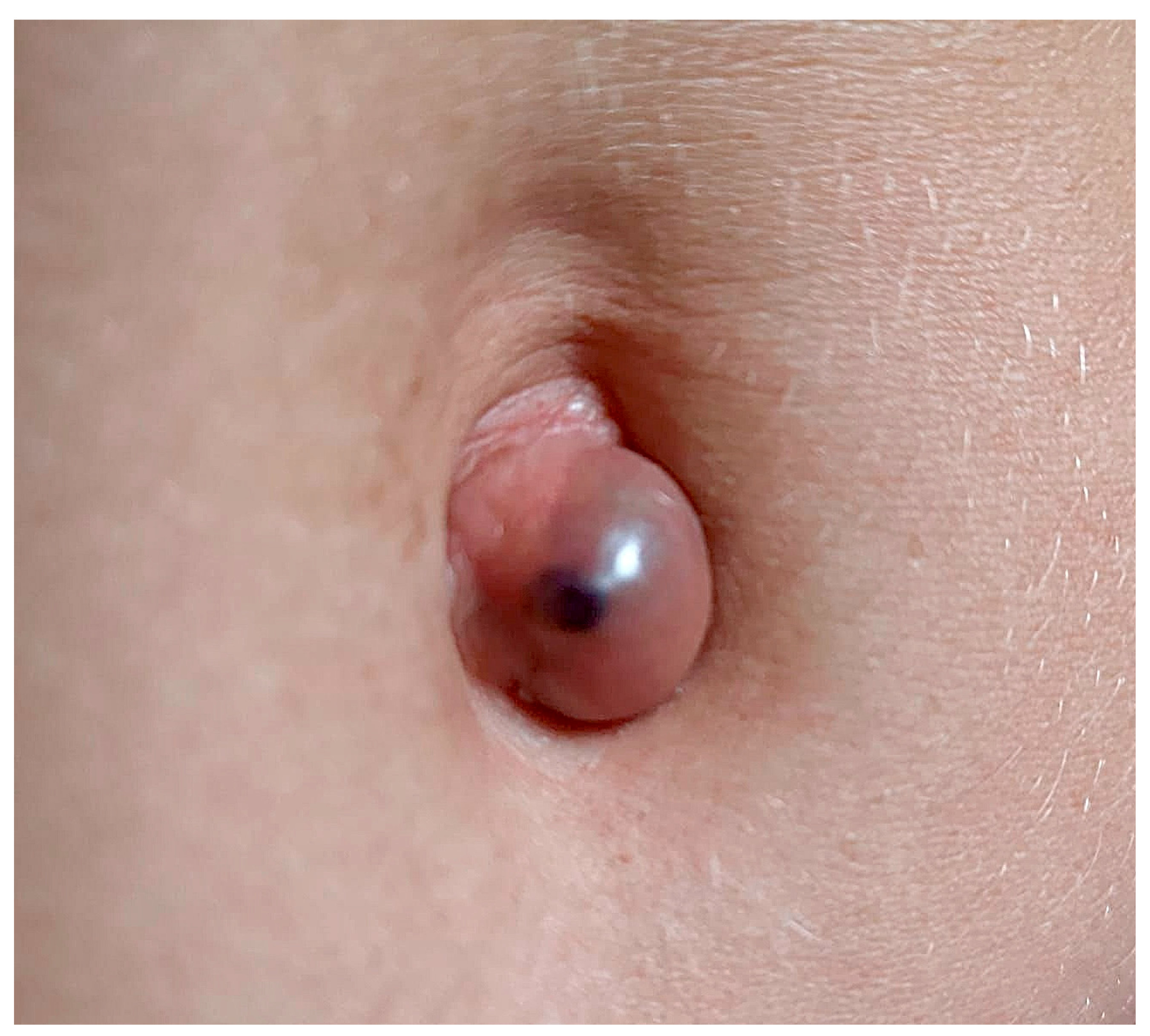 Ijerph 19 16754 g001