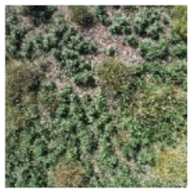 Ijerph 19 16793 i005