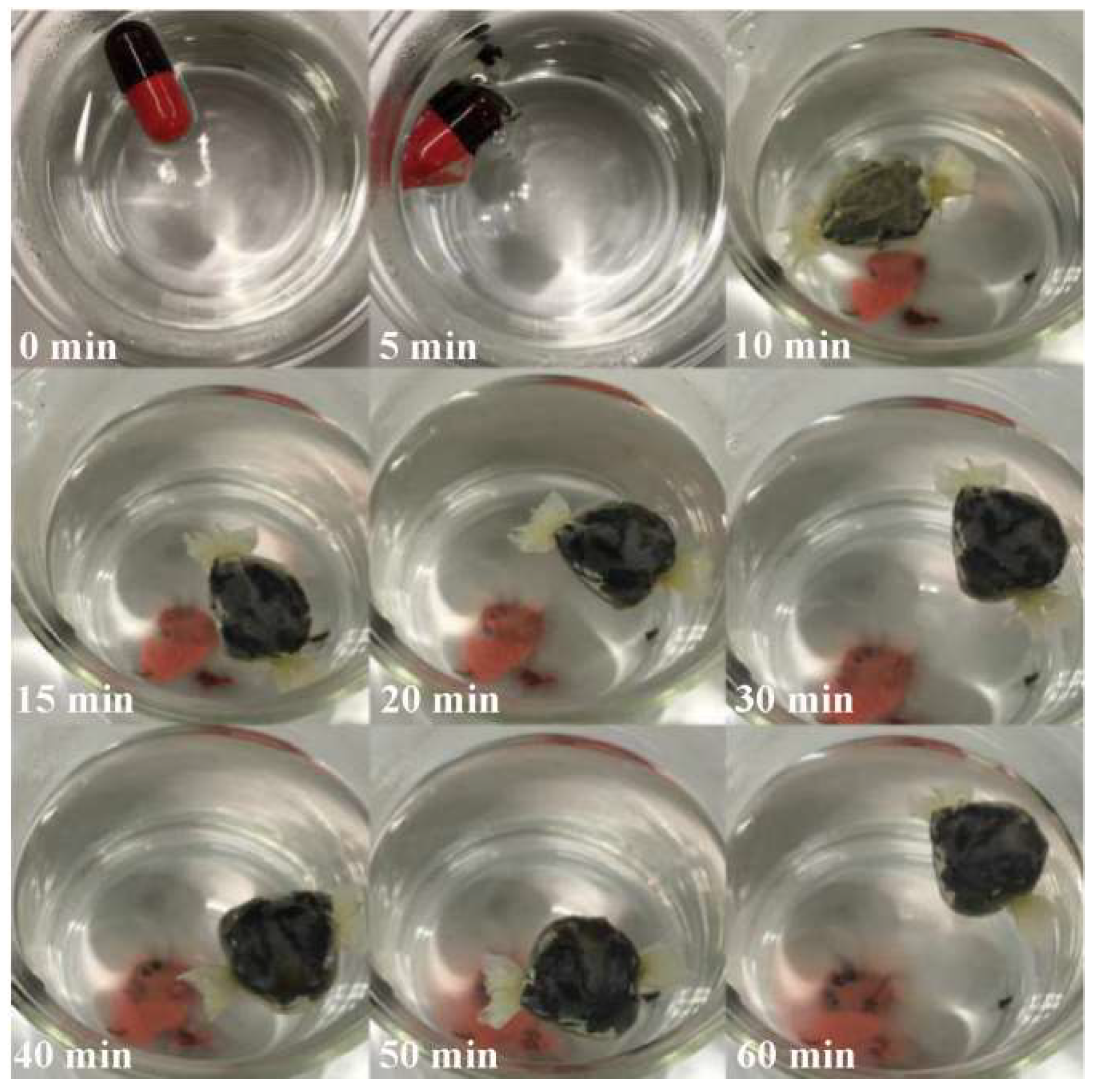 Ijerph 19 16821 g002