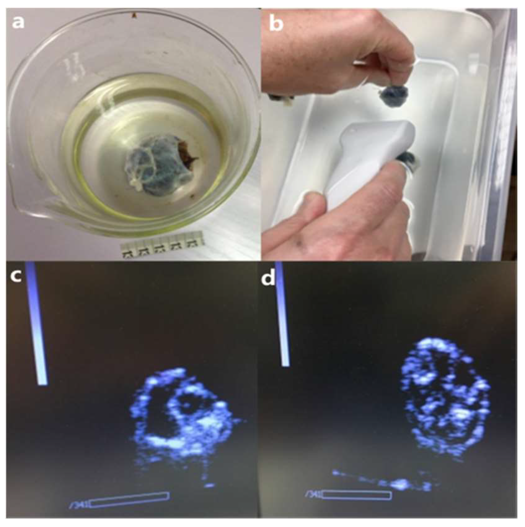 Ijerph 19 16821 g005