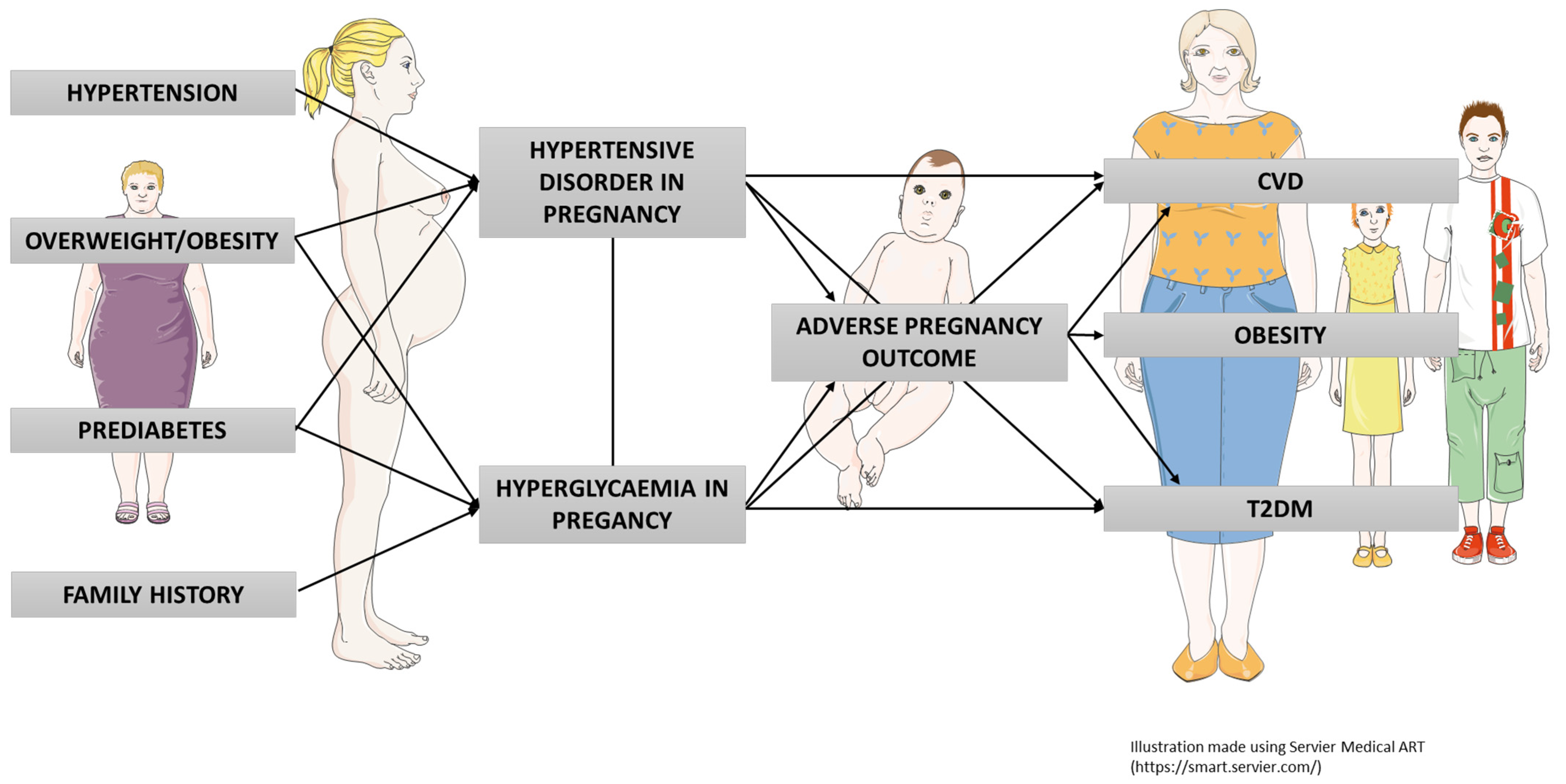 Hypertension in Pregnancy: Current Perspective