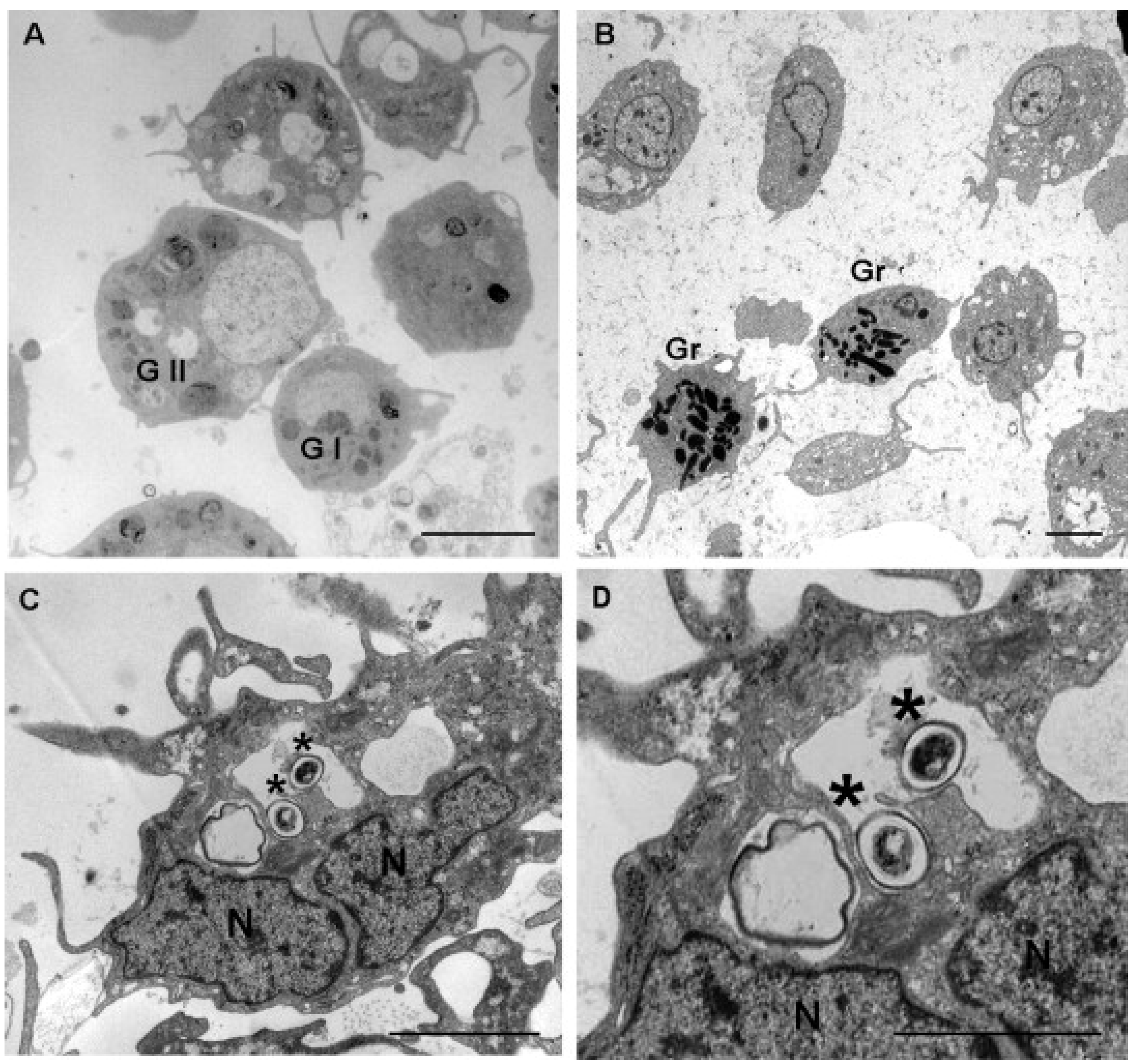 Ijerph 19 16830 g002 Ijerph 19 16830 g002