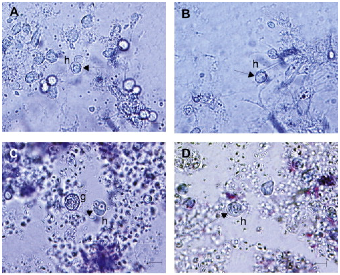 Ijerph 19 16830 g003 Ijerph 19 16830 g003