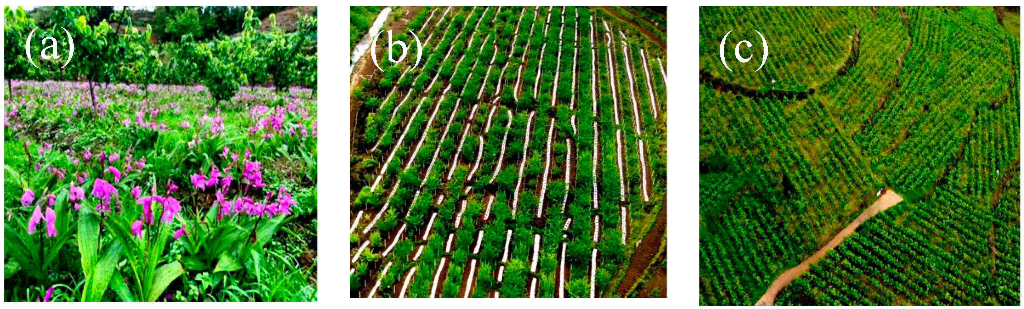 Ijerph 19 16876 g007 Ijerph 19 16876 g007