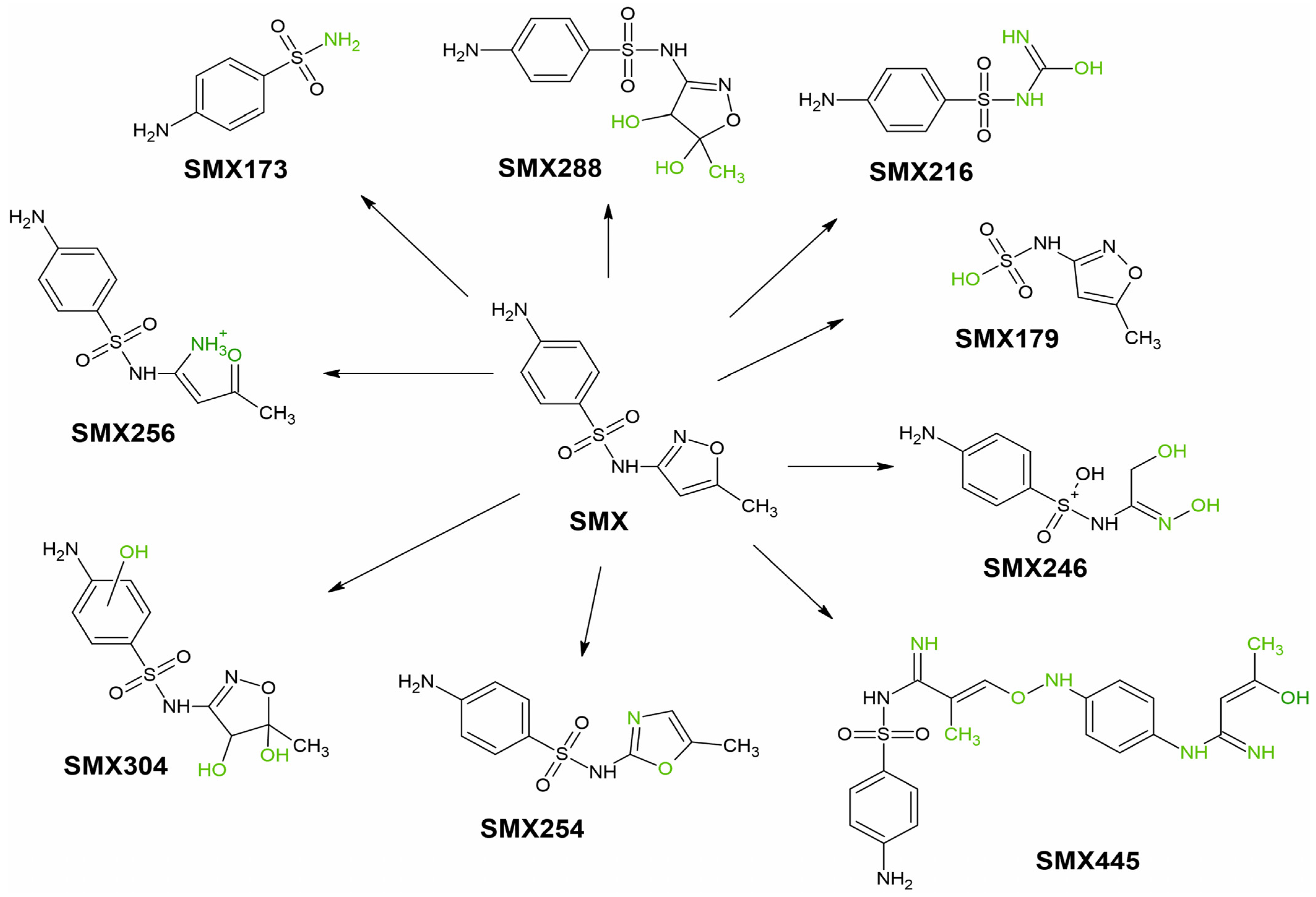 Ijerph 19 16994 g003 Ijerph 19 16994 g003