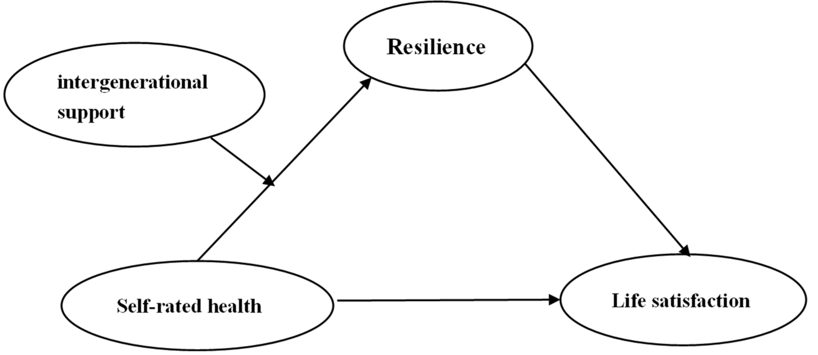 Ijerph 19 17009 g001