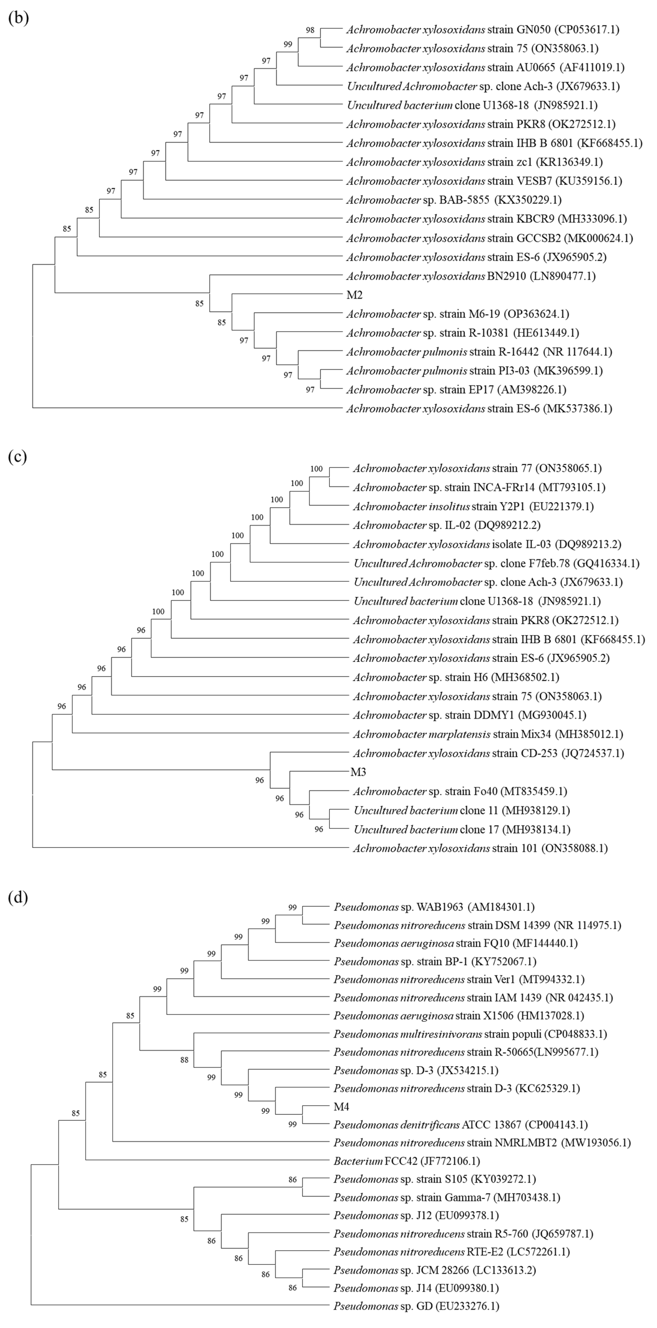 Ijerph 19 17012 g001b Ijerph 19 17012 g001b
