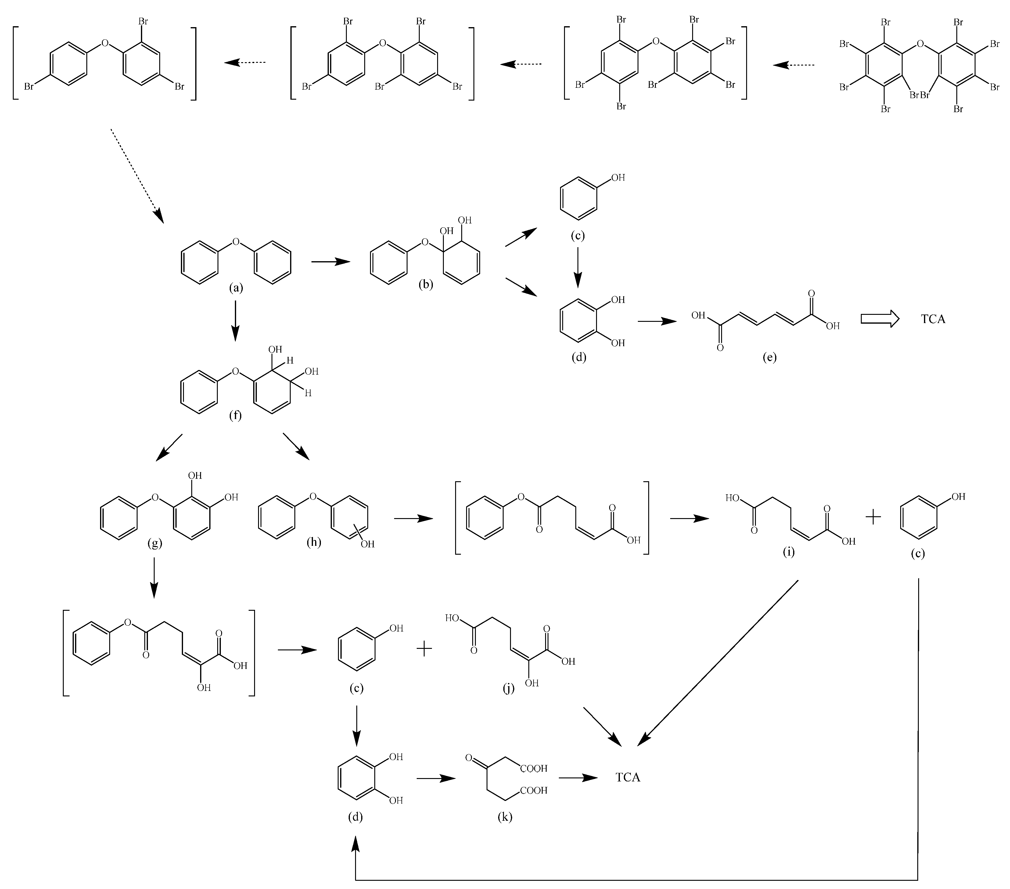 Ijerph 19 17012 g004 Ijerph 19 17012 g004