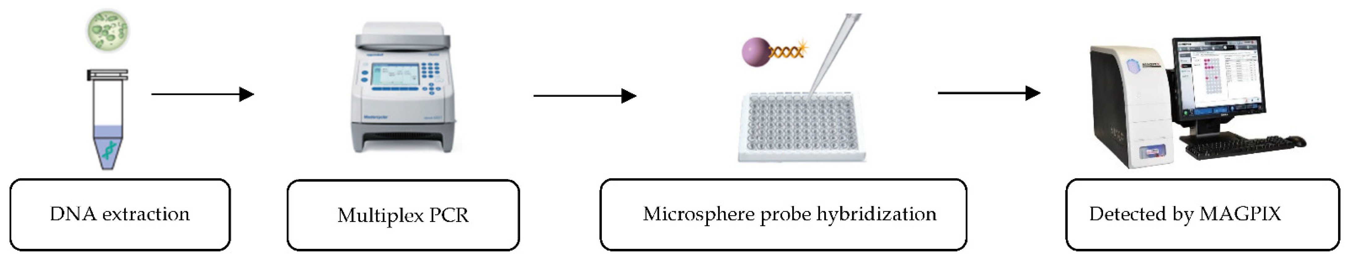 Ijerph 19 17068 g001 Ijerph 19 17068 g001