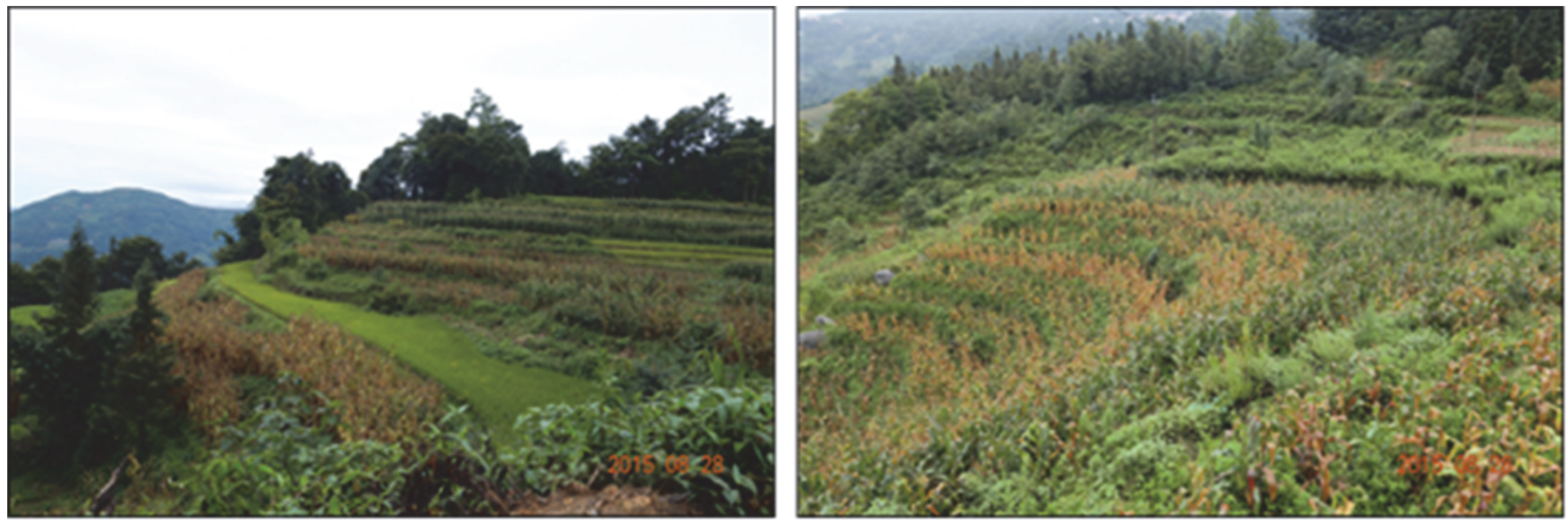 Ijerph 19 17100 g005 Ijerph 19 17100 g005