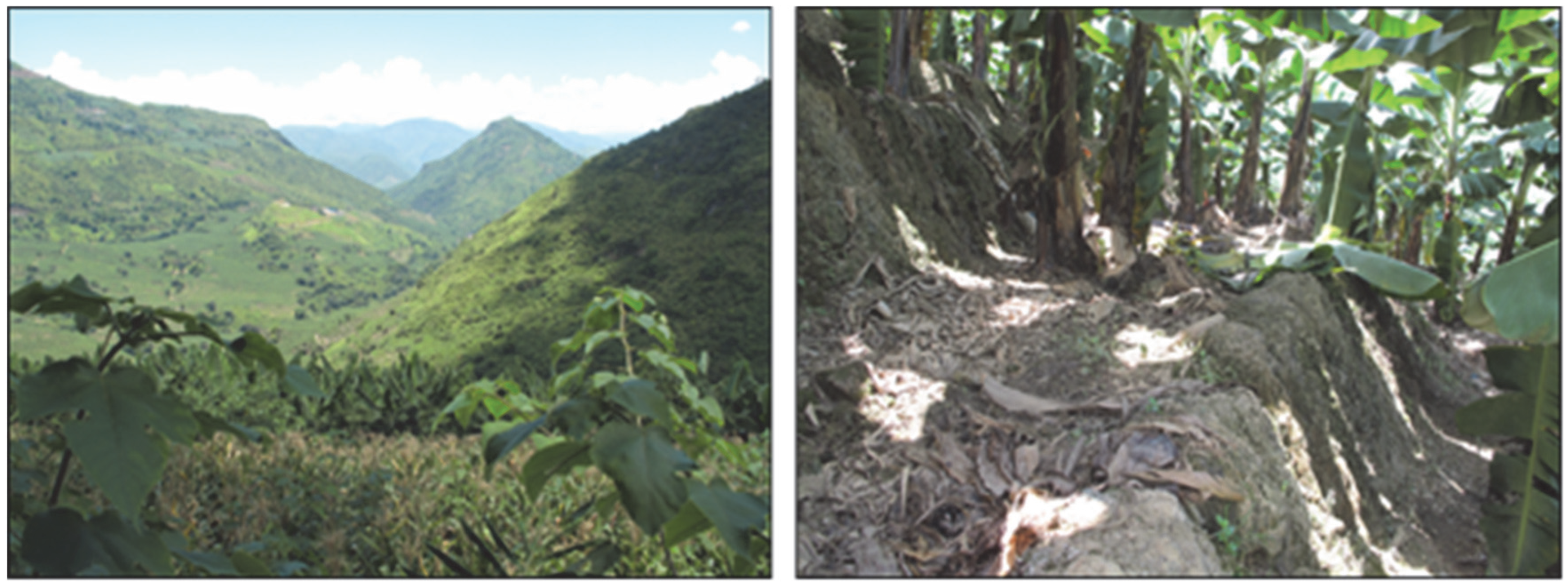 Ijerph 19 17100 g006 Ijerph 19 17100 g006