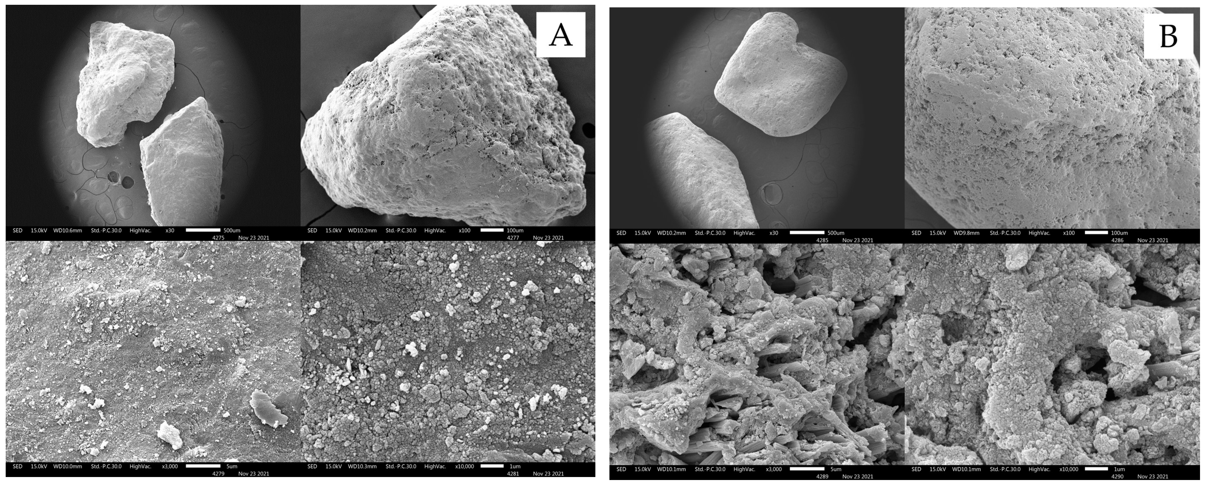 Ijerph 19 17103 g001