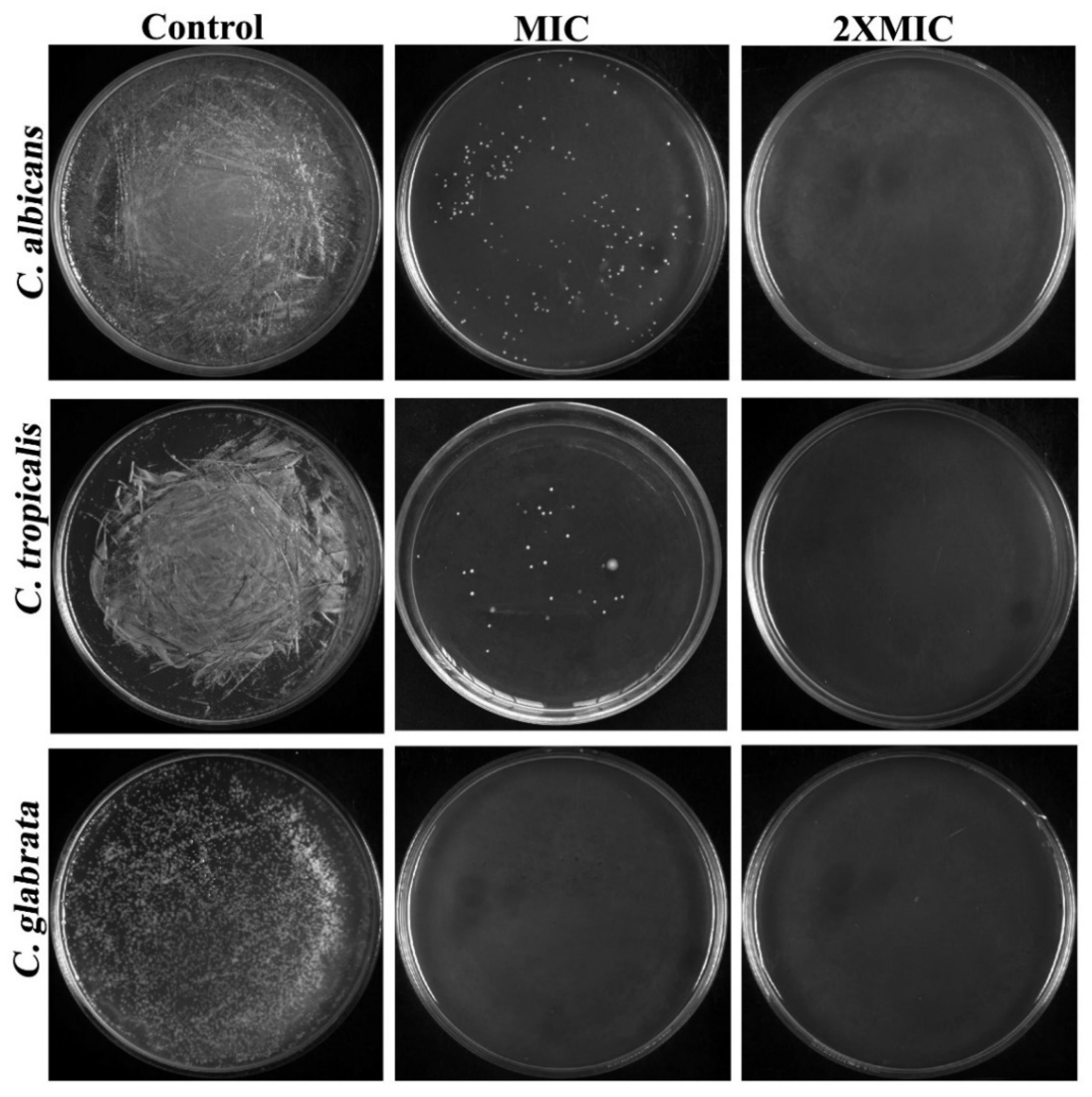 Ijerph 20 00027 g002