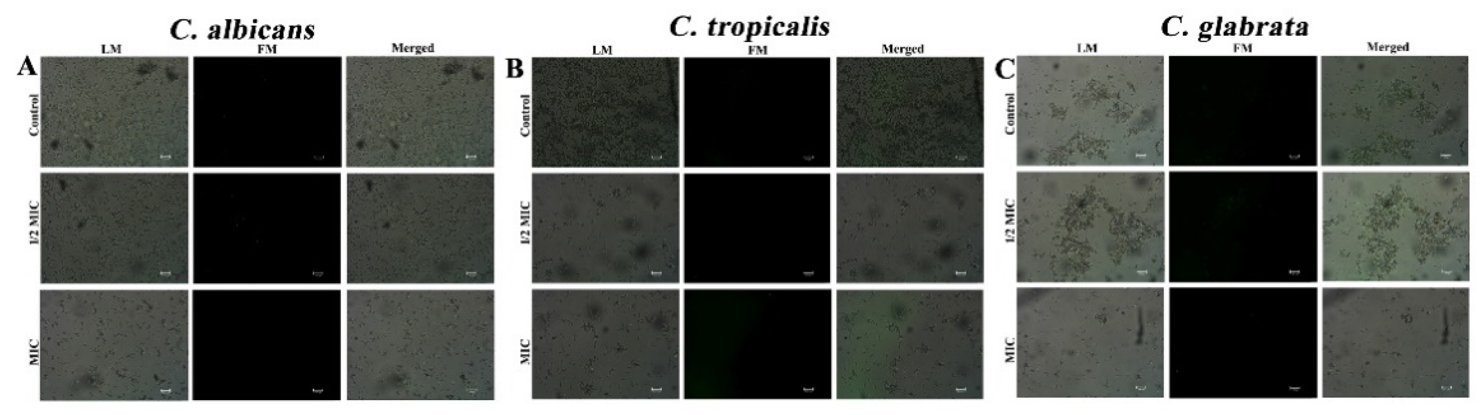 Ijerph 20 00027 g004