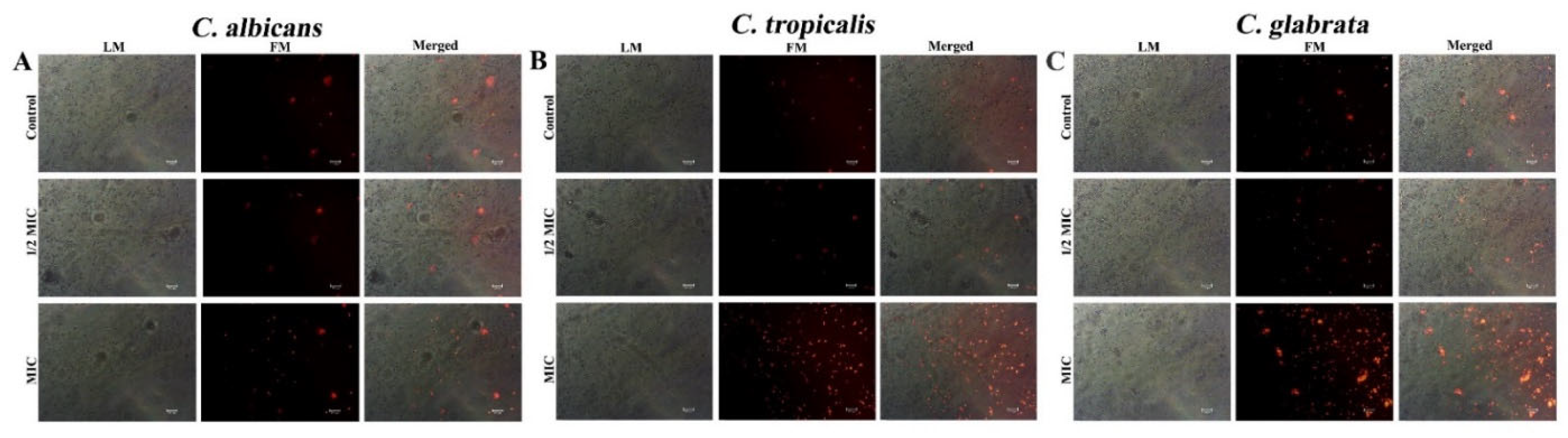 Ijerph 20 00027 g005