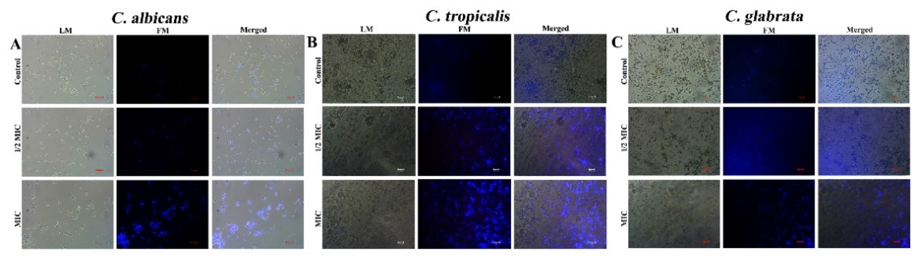 Ijerph 20 00027 g006