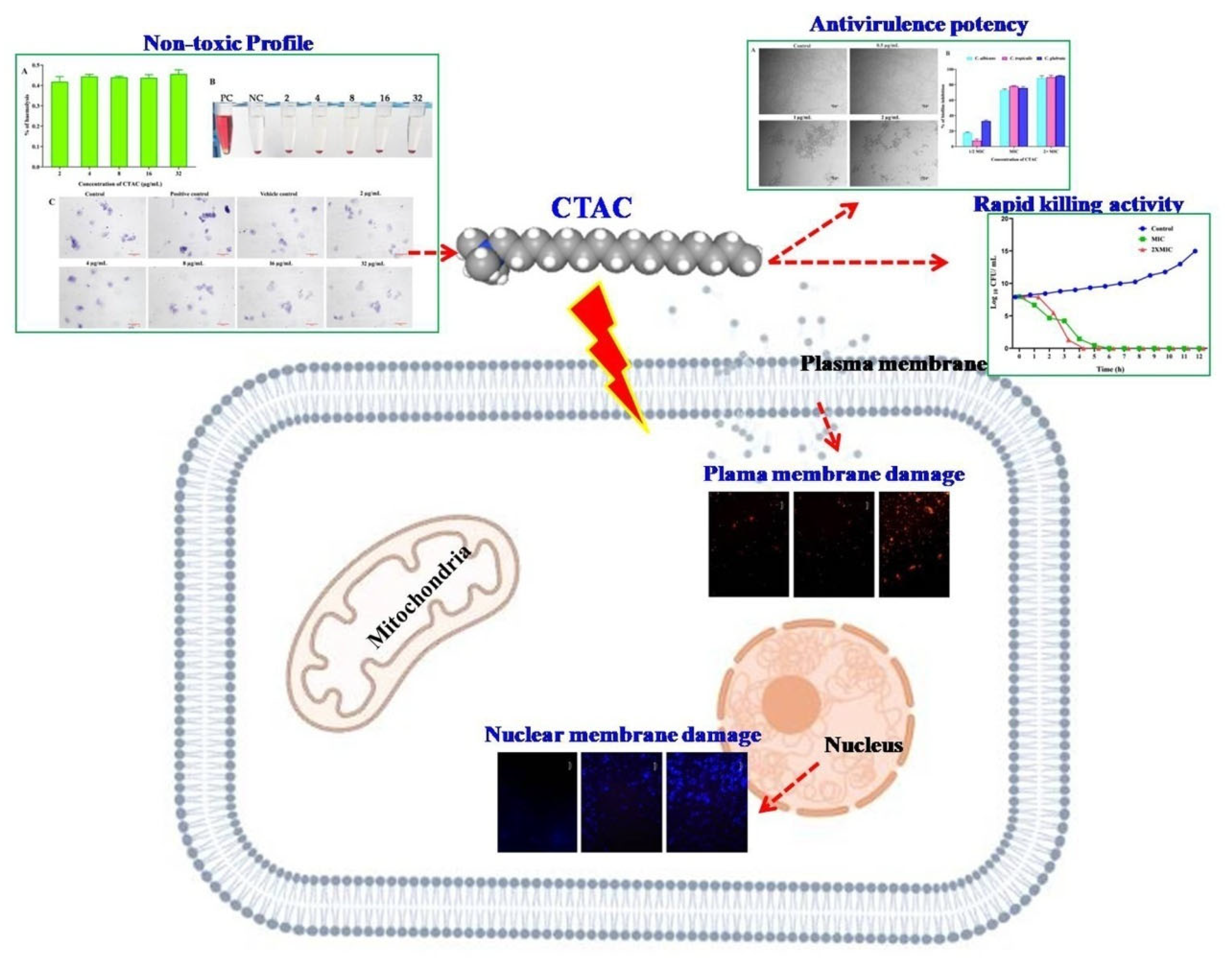 Ijerph 20 00027 g010