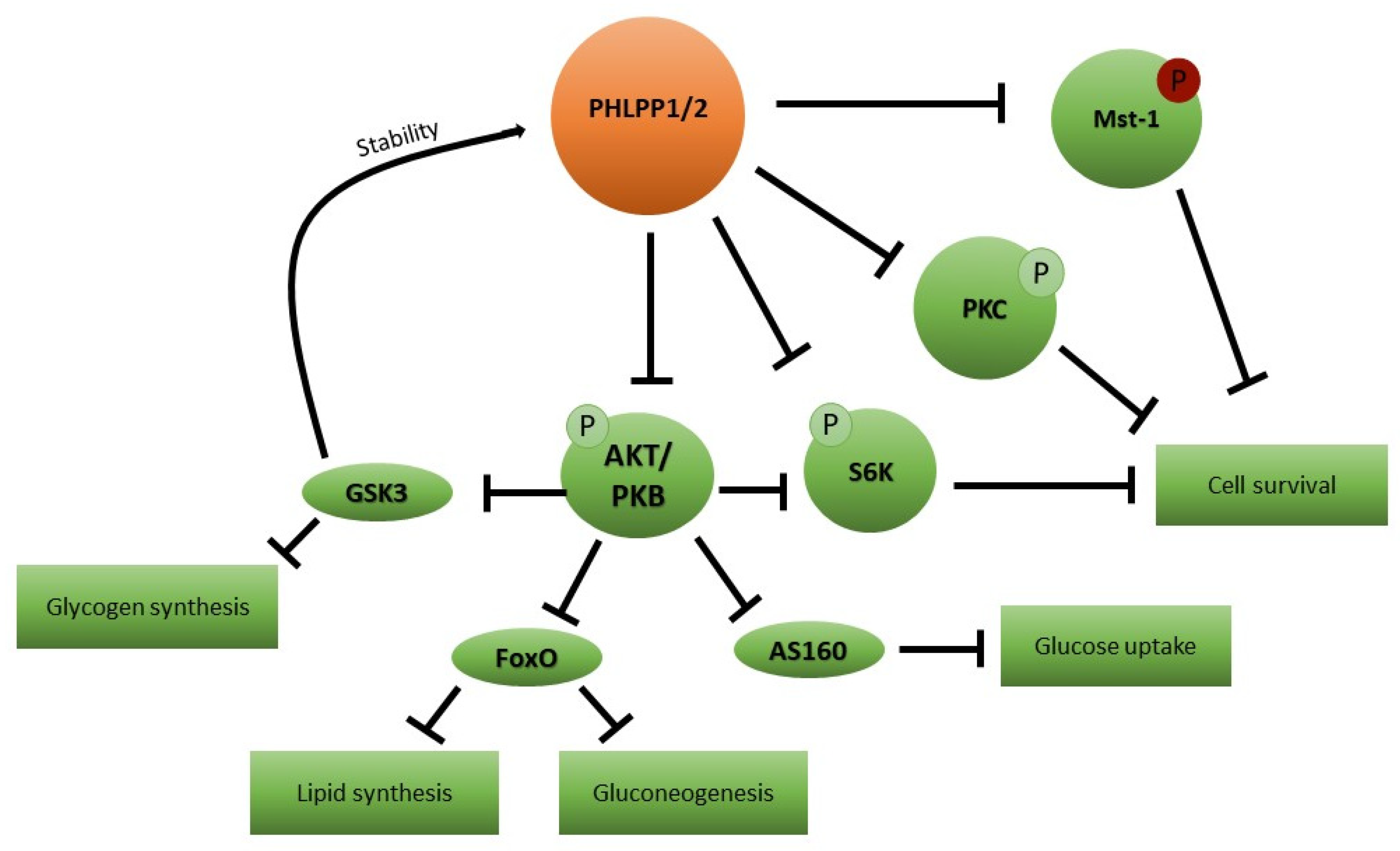 Ijerph 20 00029 g001