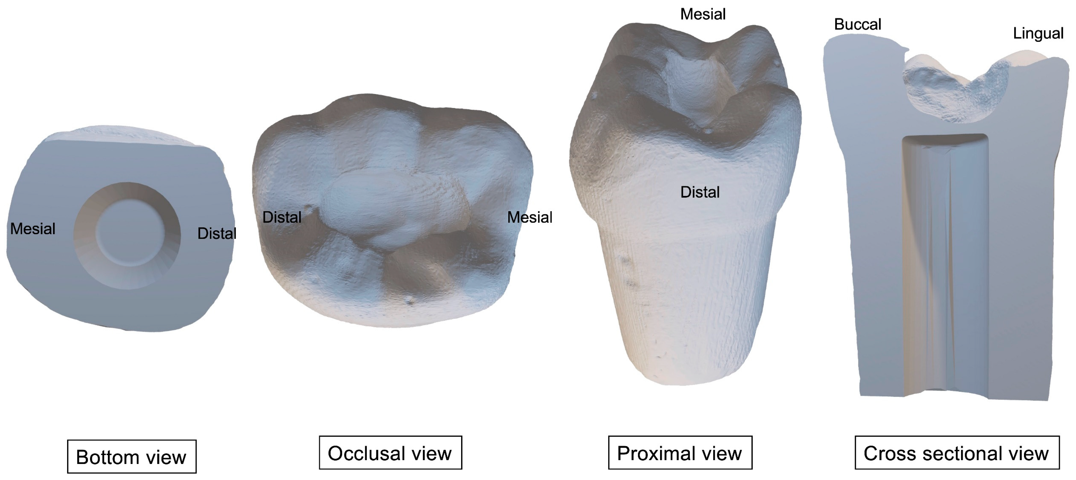 Ijerph 20 00090 g001 550