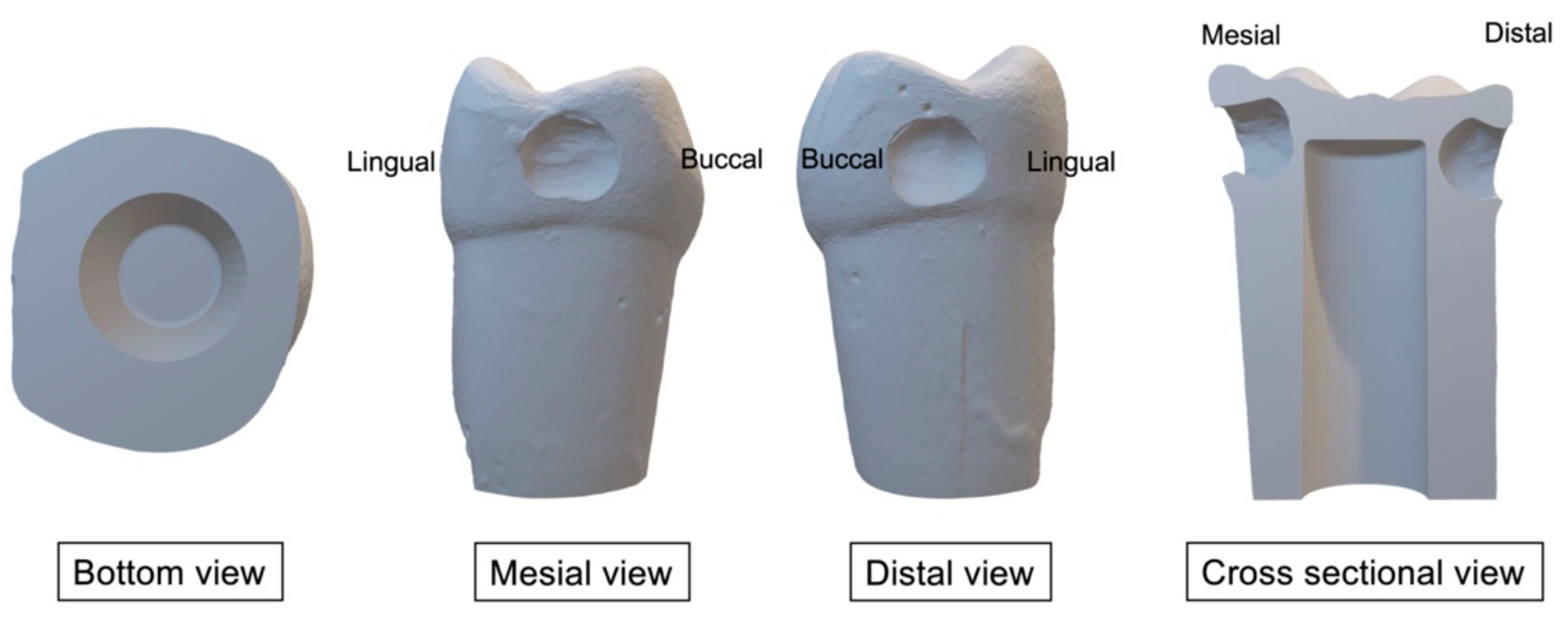 Ijerph 20 00090 g002 550