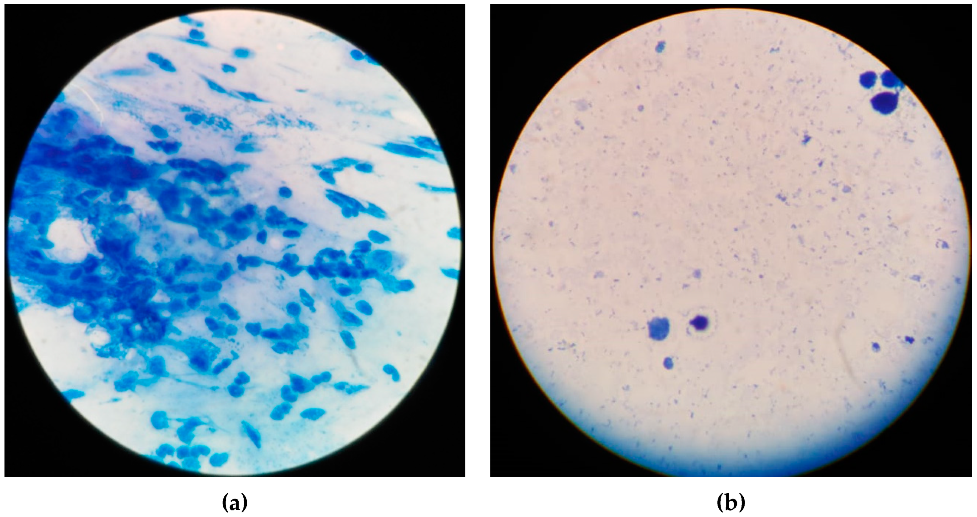 Ijerph 20 00135 g0a1 Ijerph 20 00135 g0a1