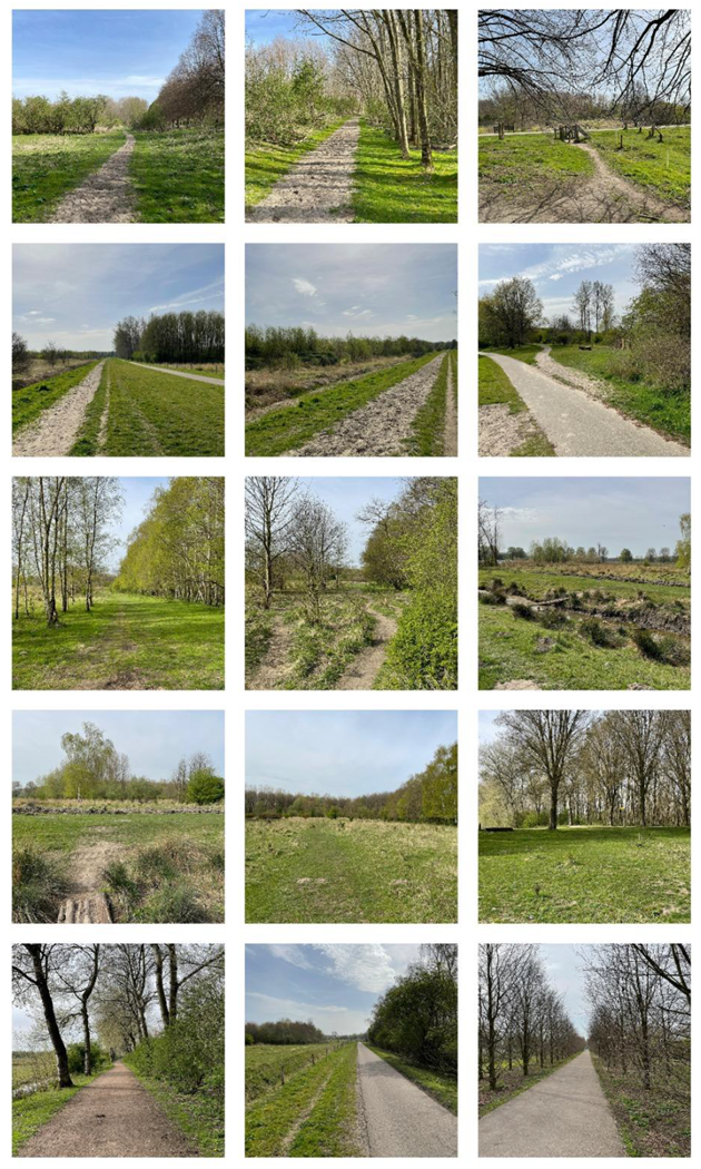 Ijerph 20 00188 i002