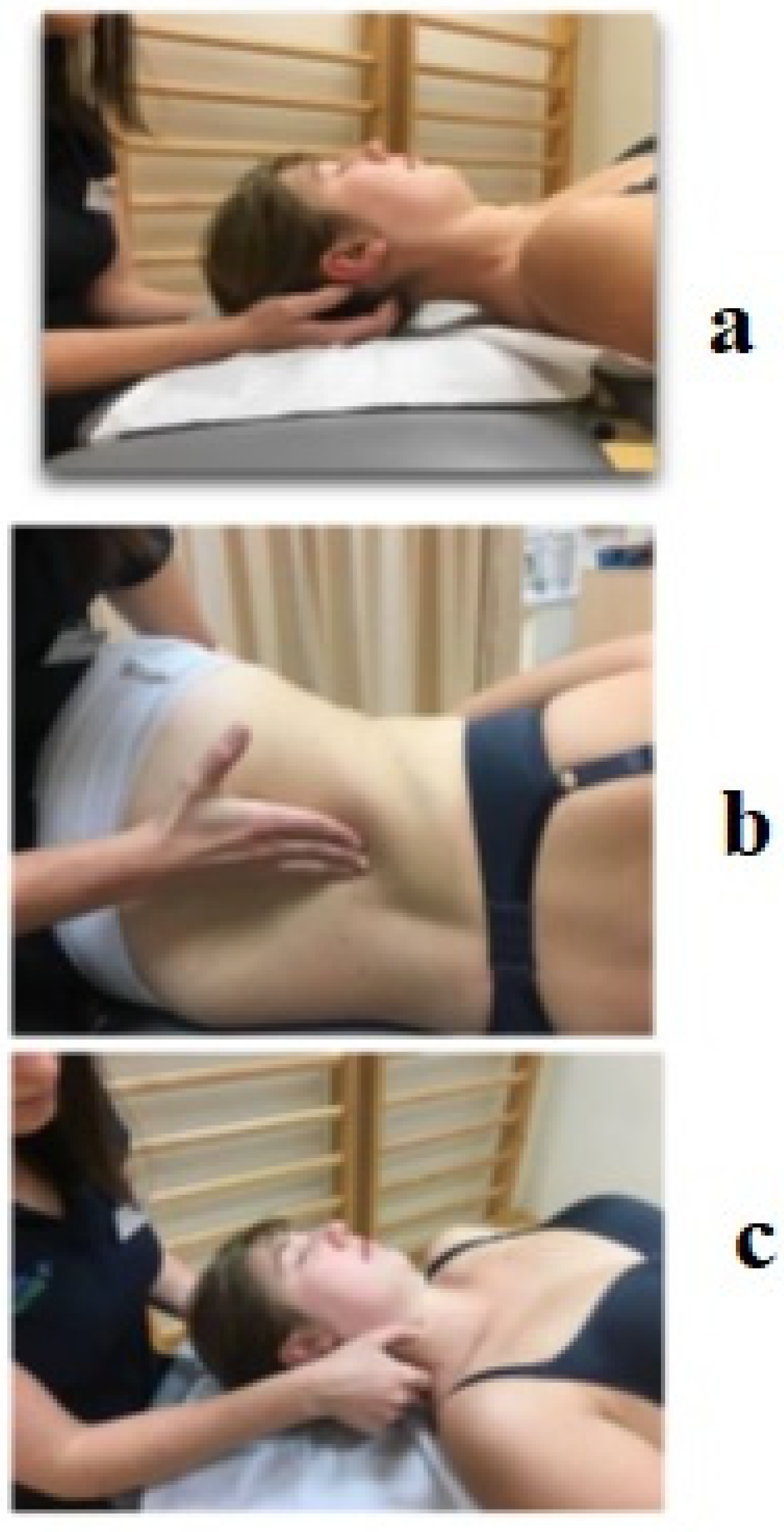 Ijerph 20 00369 g001 Ijerph 20 00369 g001