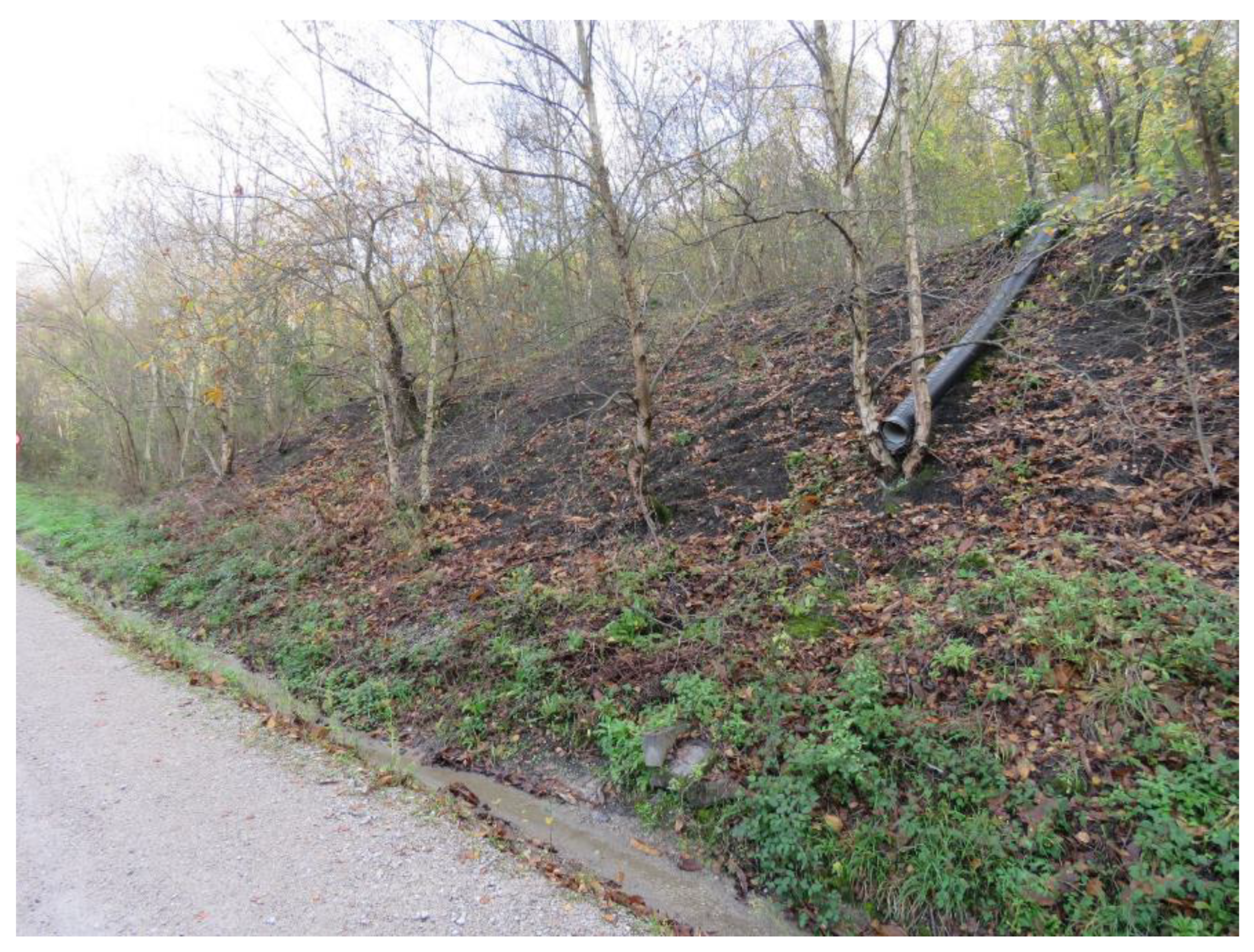 Ijerph 20 00381 g005