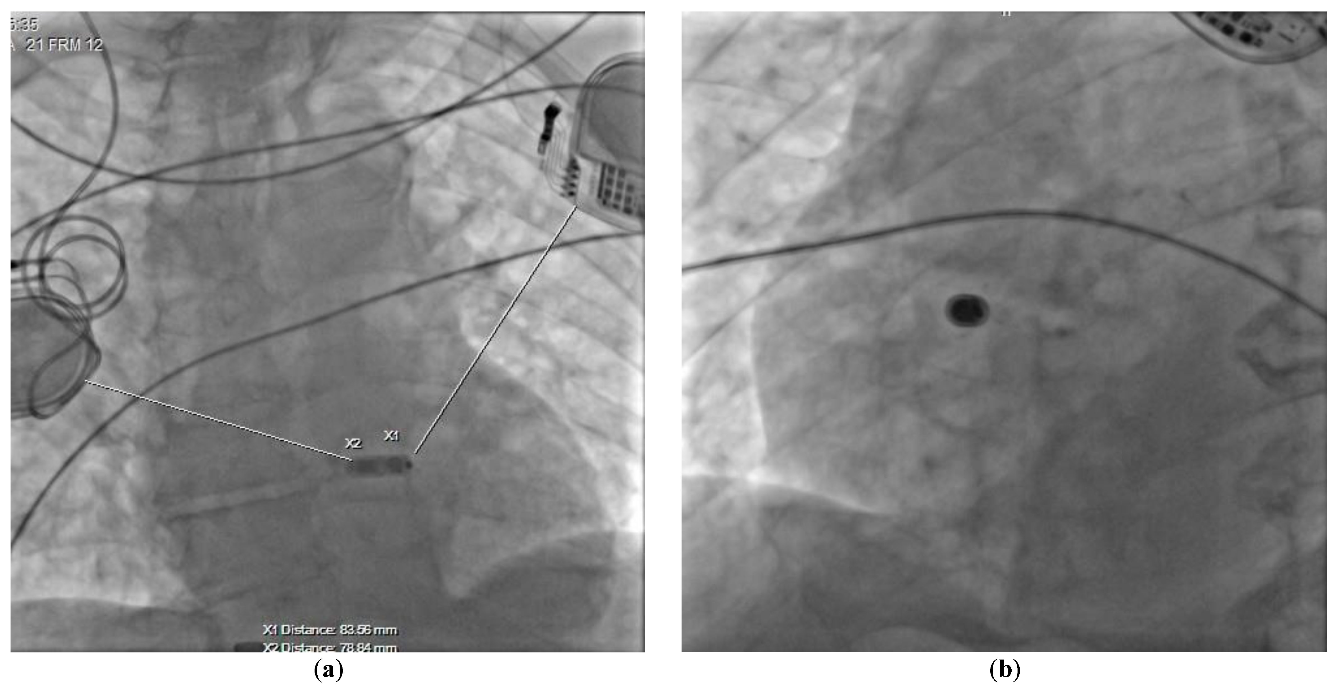 Ijerph 20 00388 g002 550