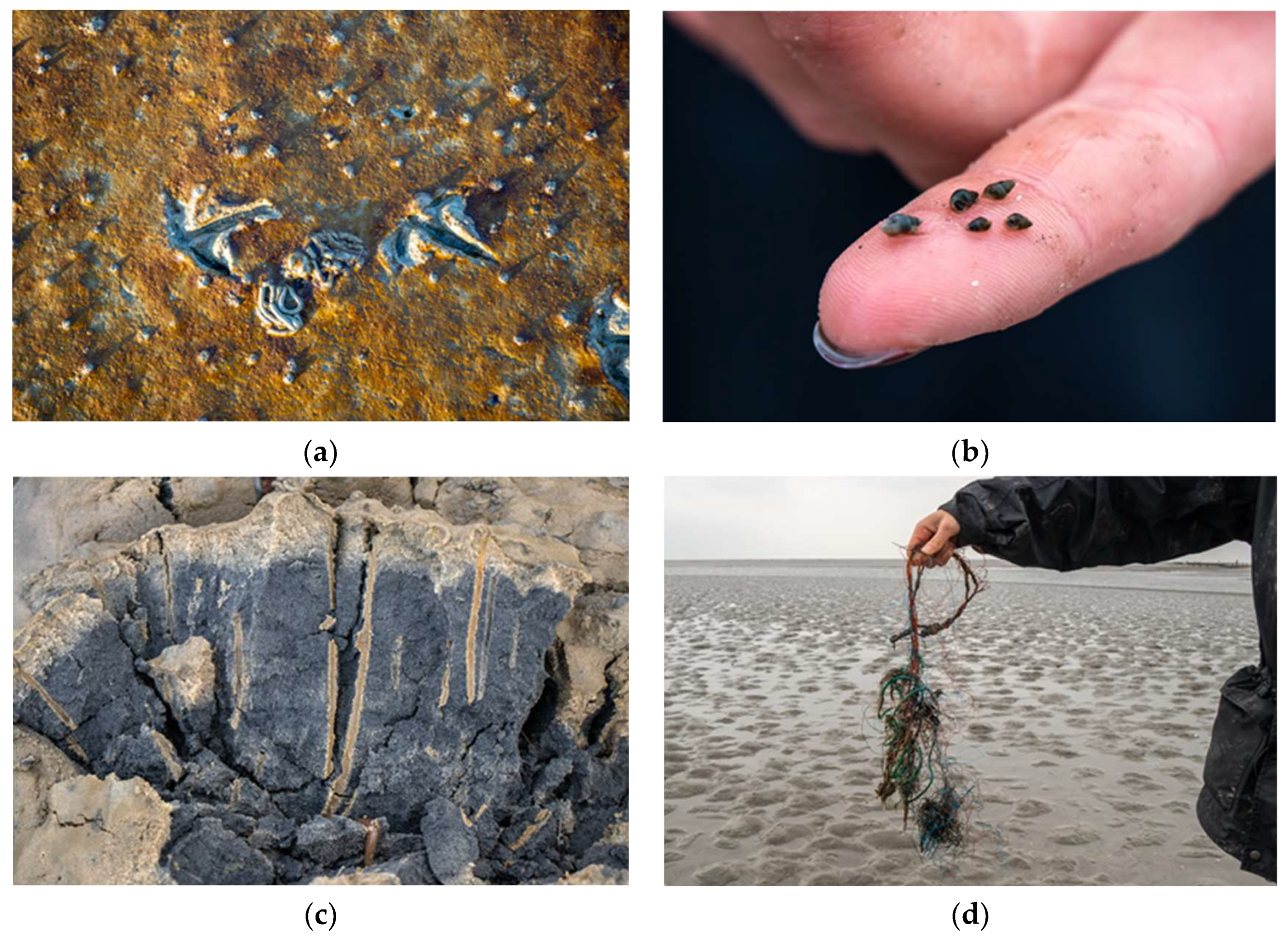 Ijerph 20 00403 g002